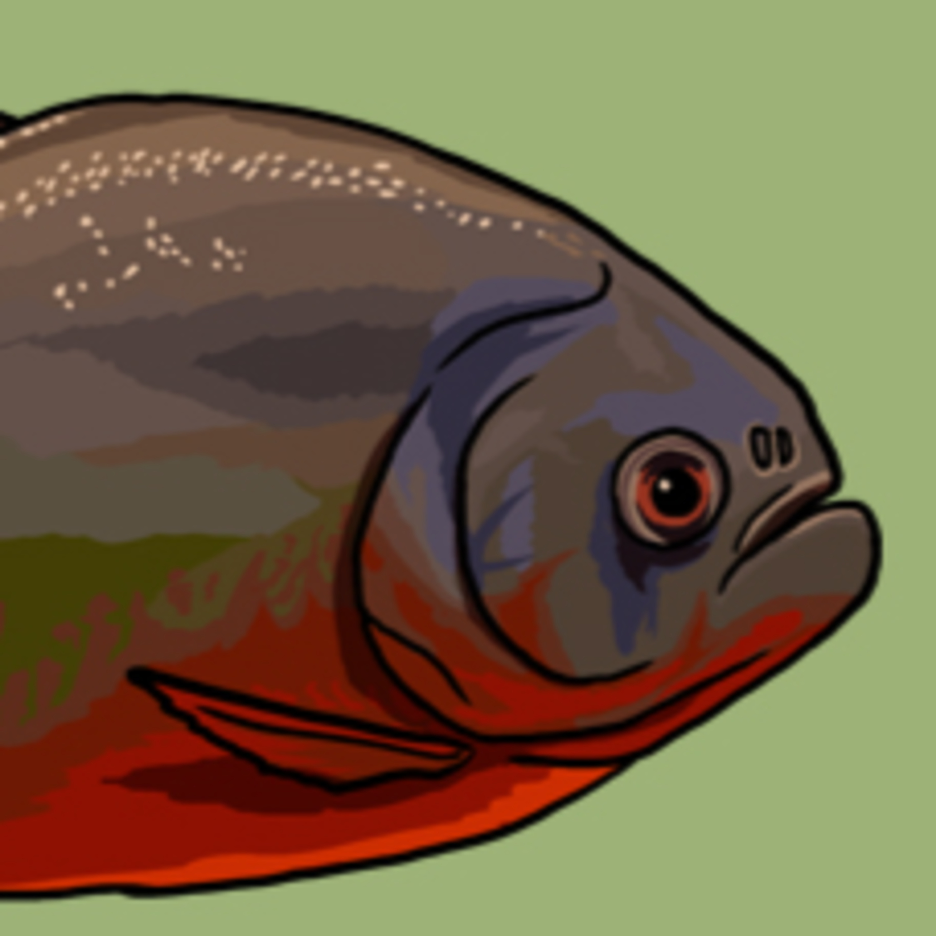 A Flesh-Eating Fish episode artwork