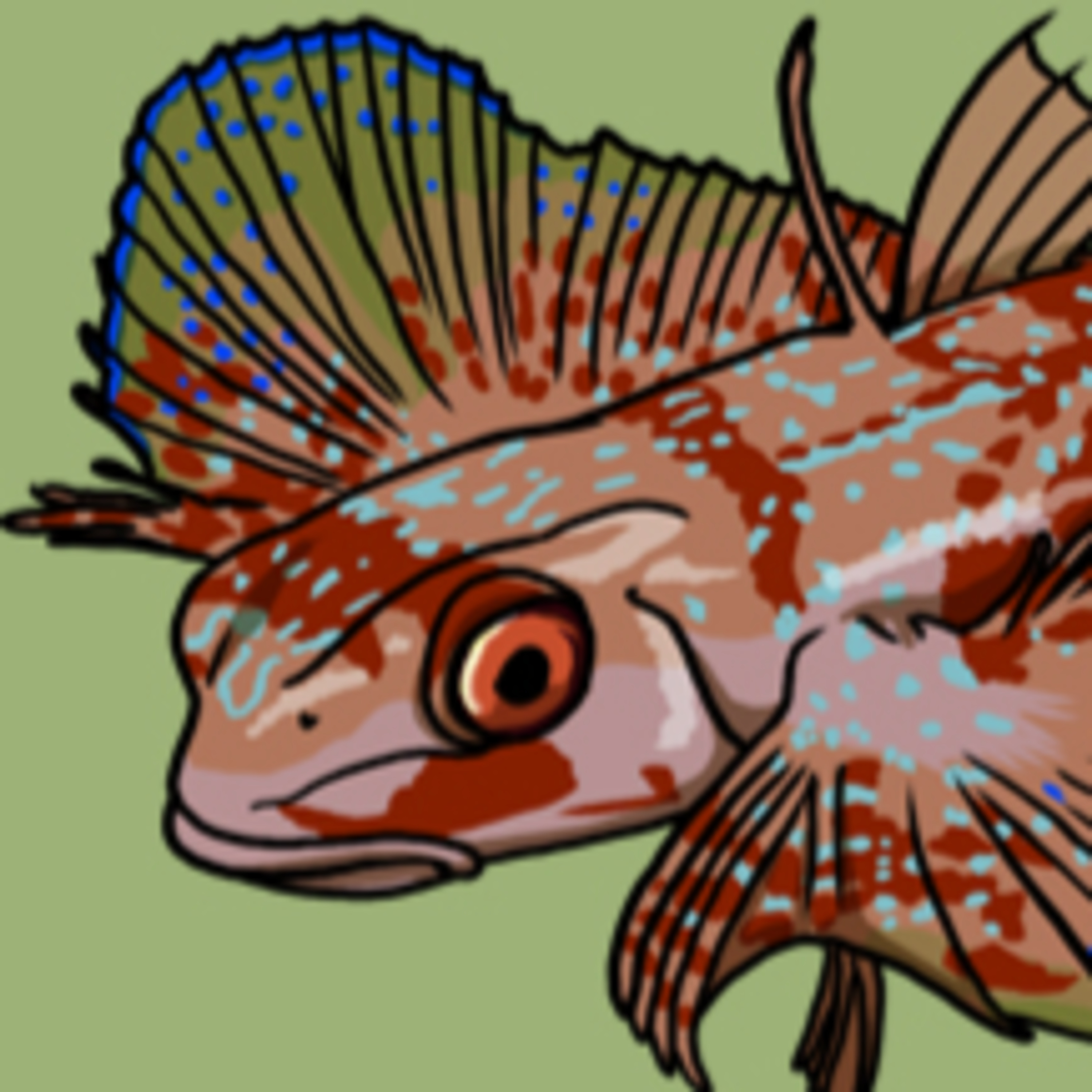 A Sea Floor Flying Fish episode artwork