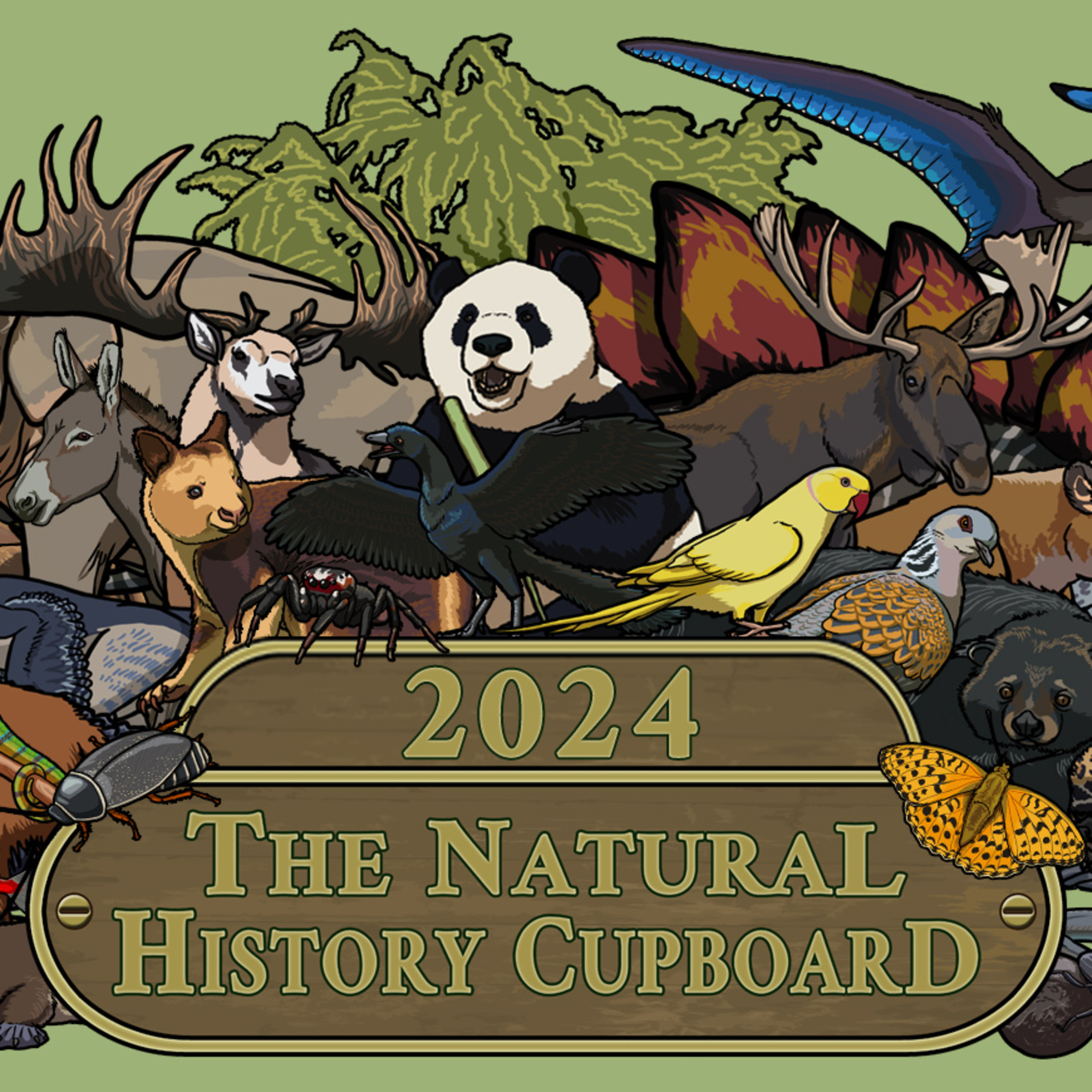 New Year's Quiz 2024 episode artwork
