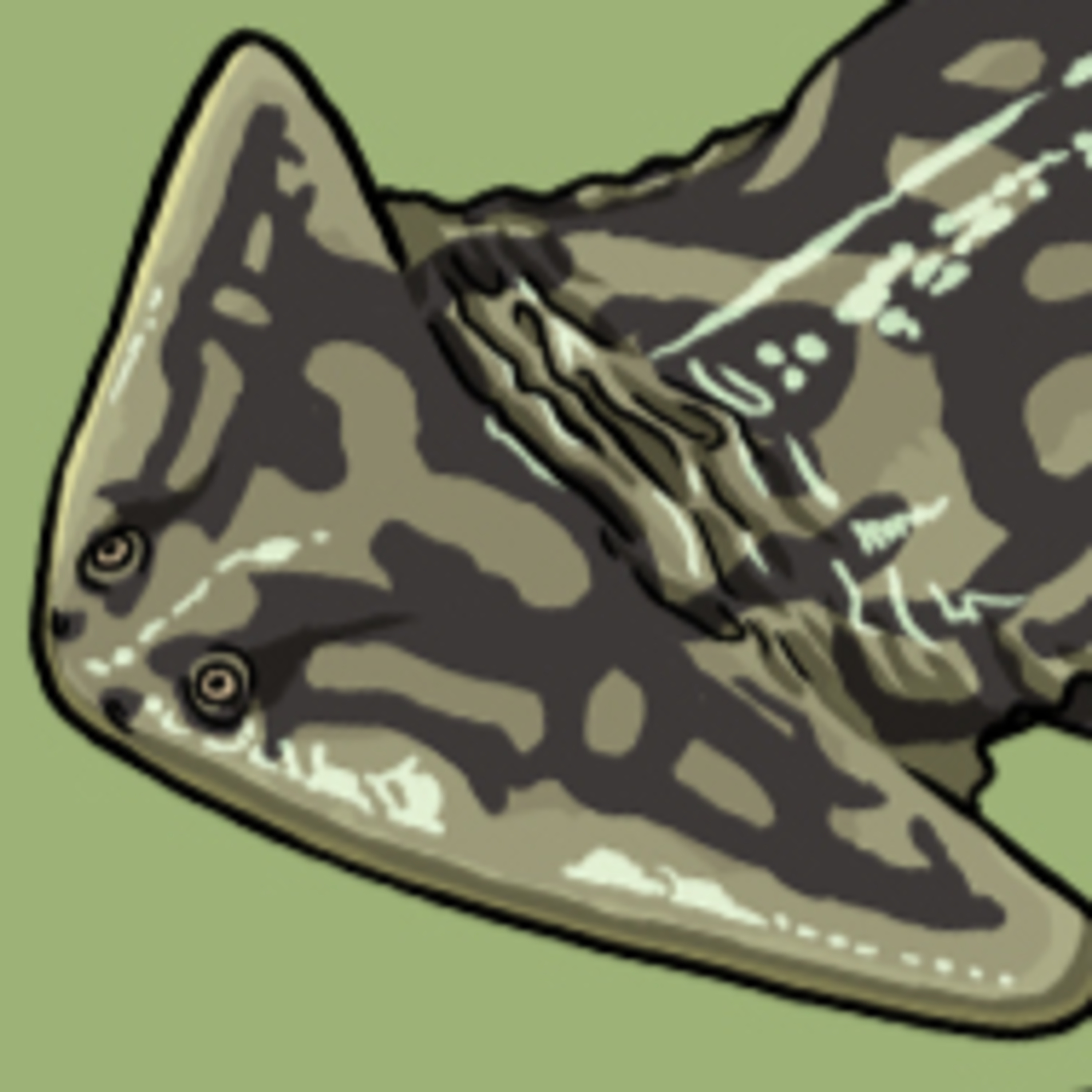 An Amphibian Oddball episode artwork