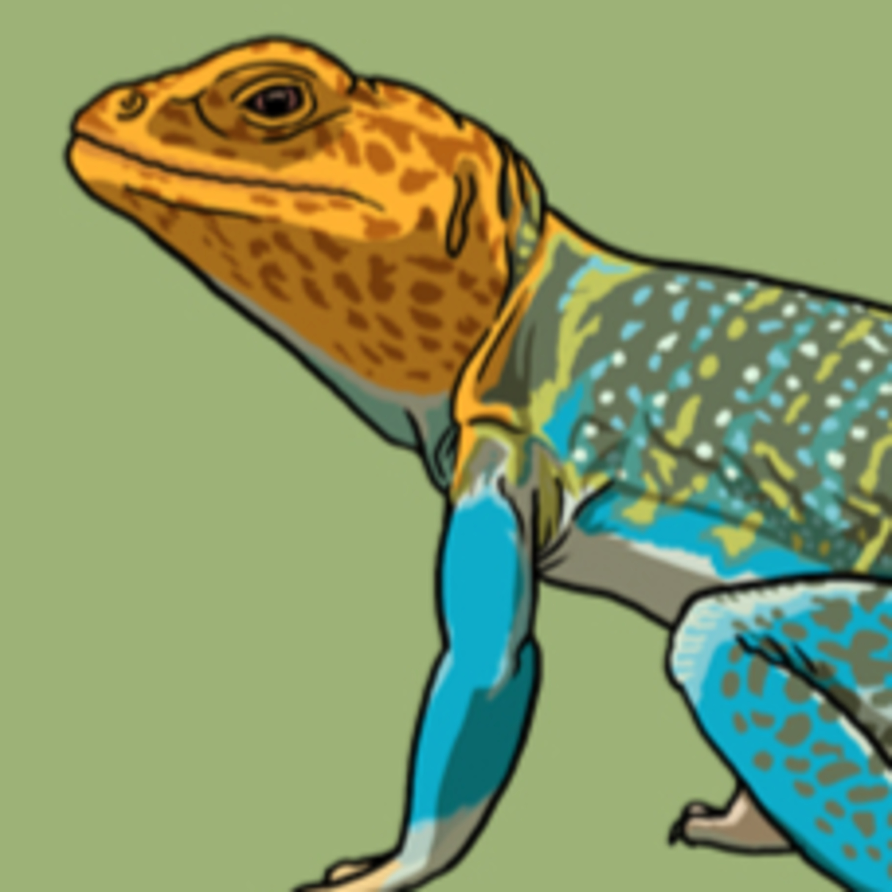 A Reptilian Rainbow episode artwork