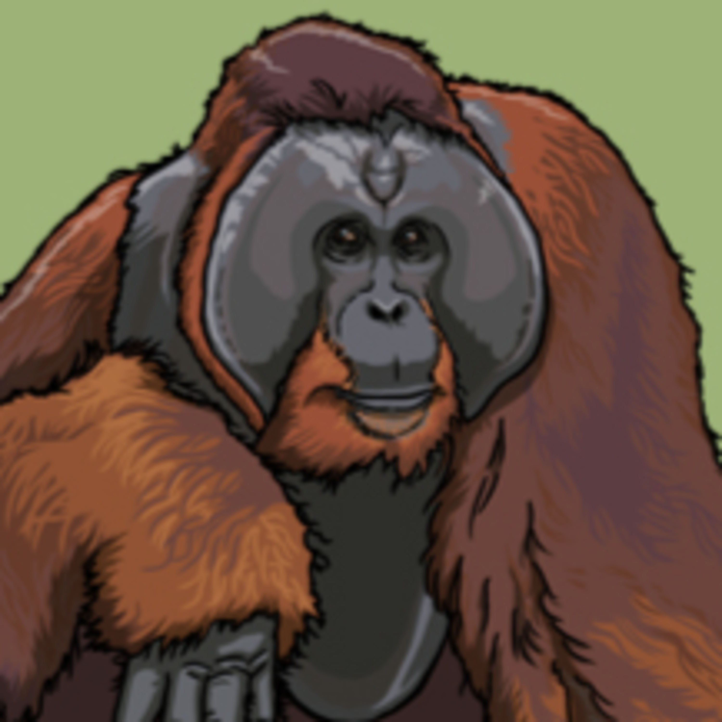 A Red Ape of the Rainforest episode artwork