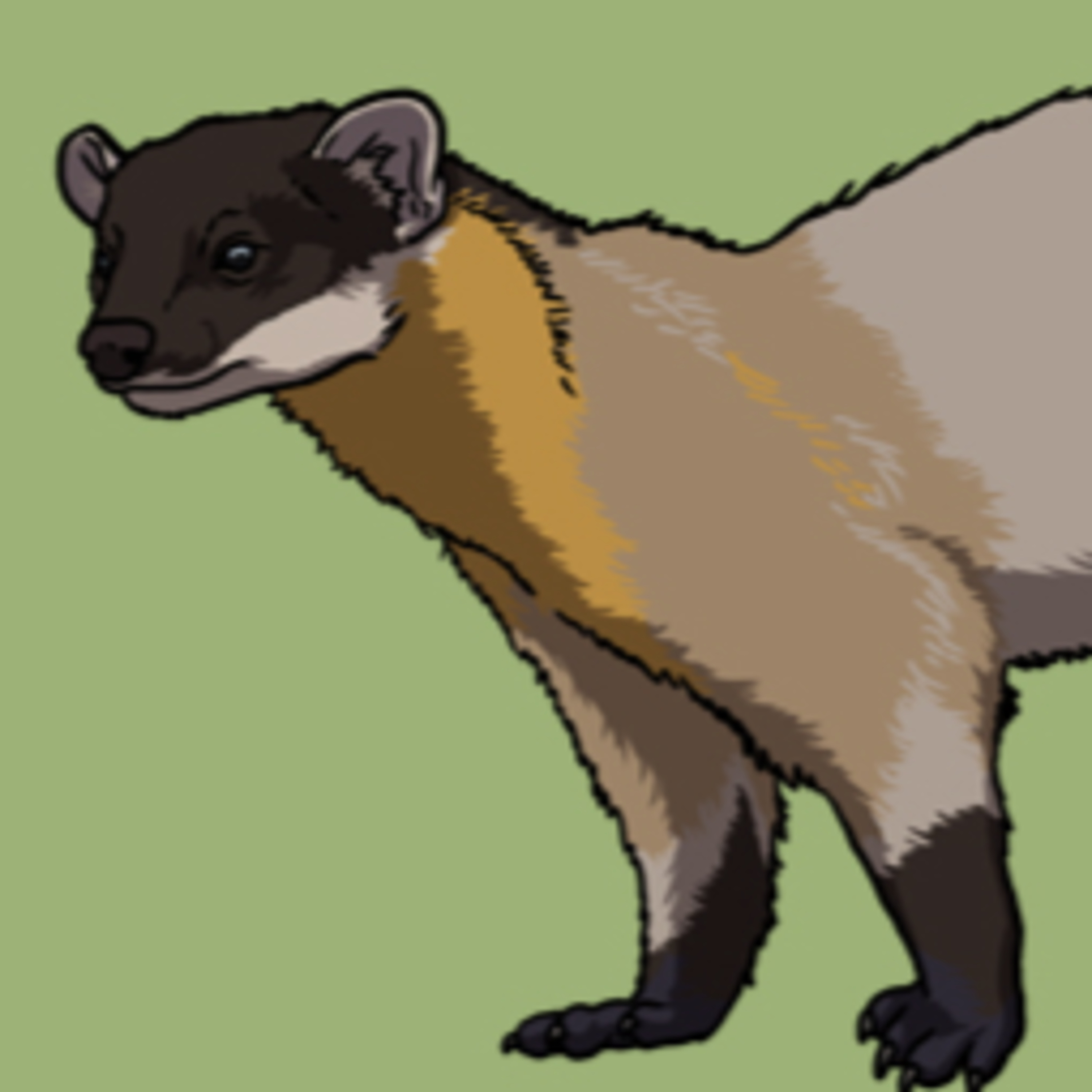 A Marvellous Marten episode artwork