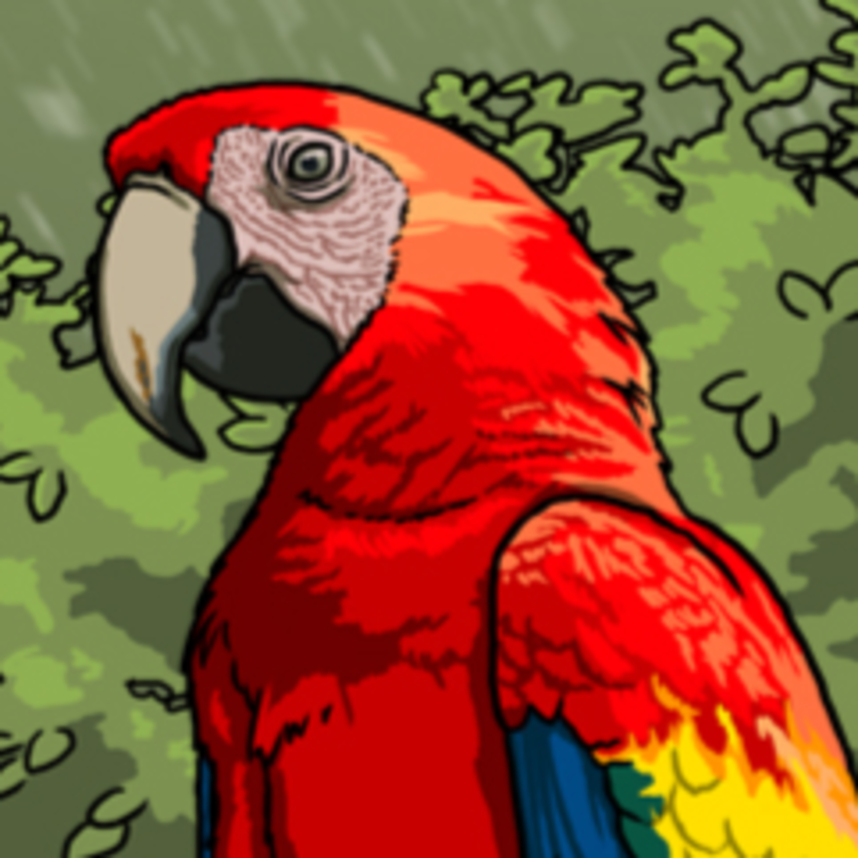 Rainforest Day Special 2025 episode artwork