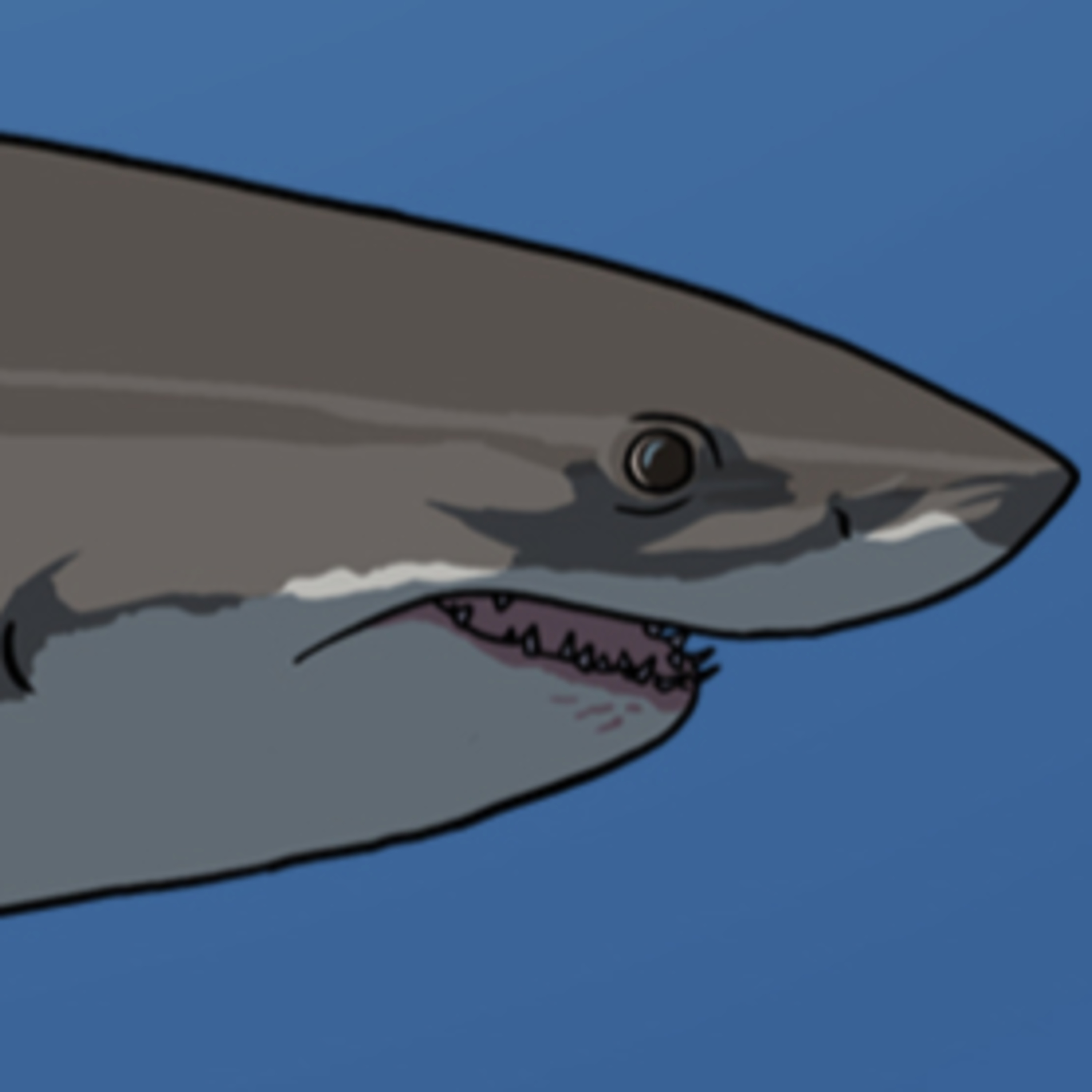 Shark Week Special 2025 episode artwork