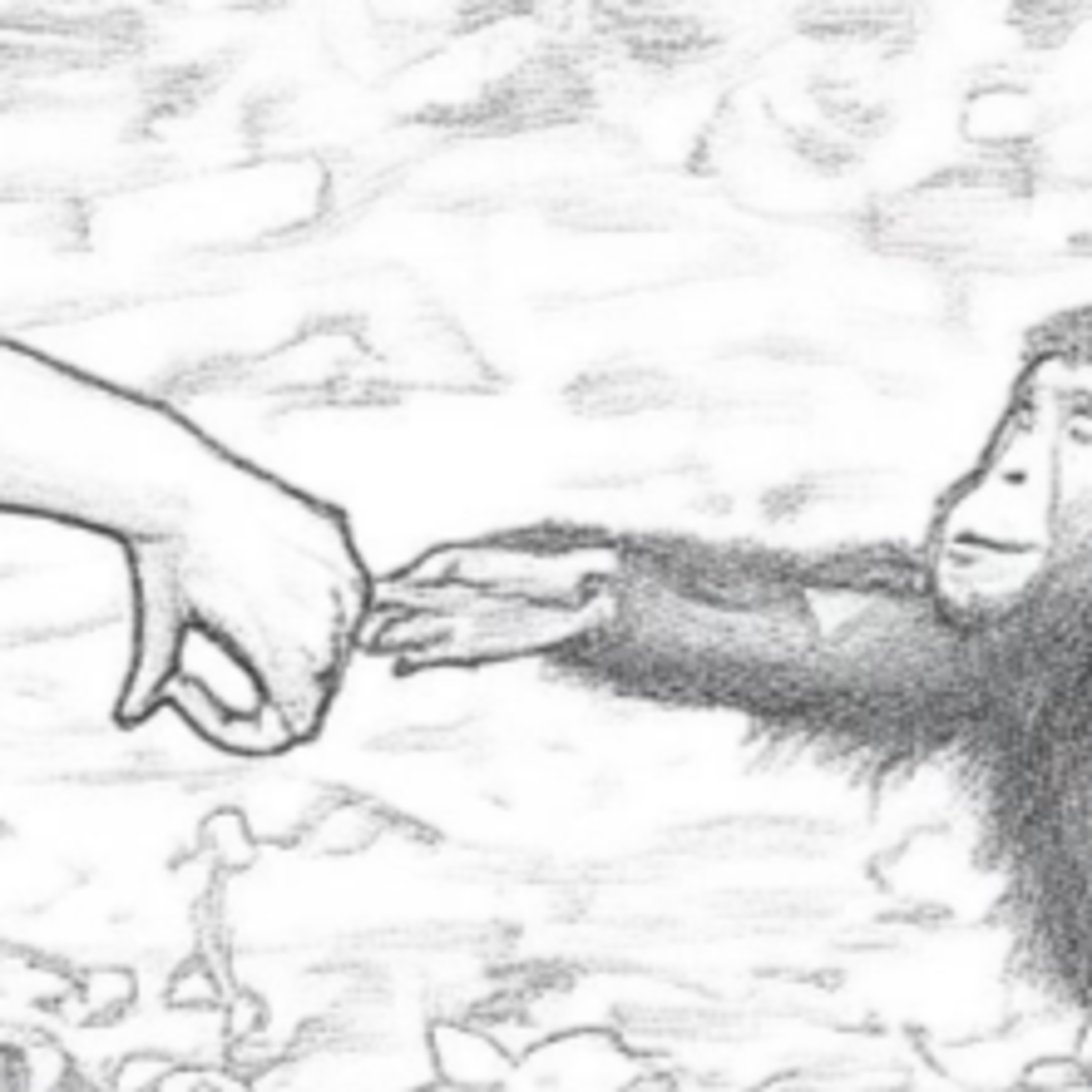 A Princess of the Primates episode artwork