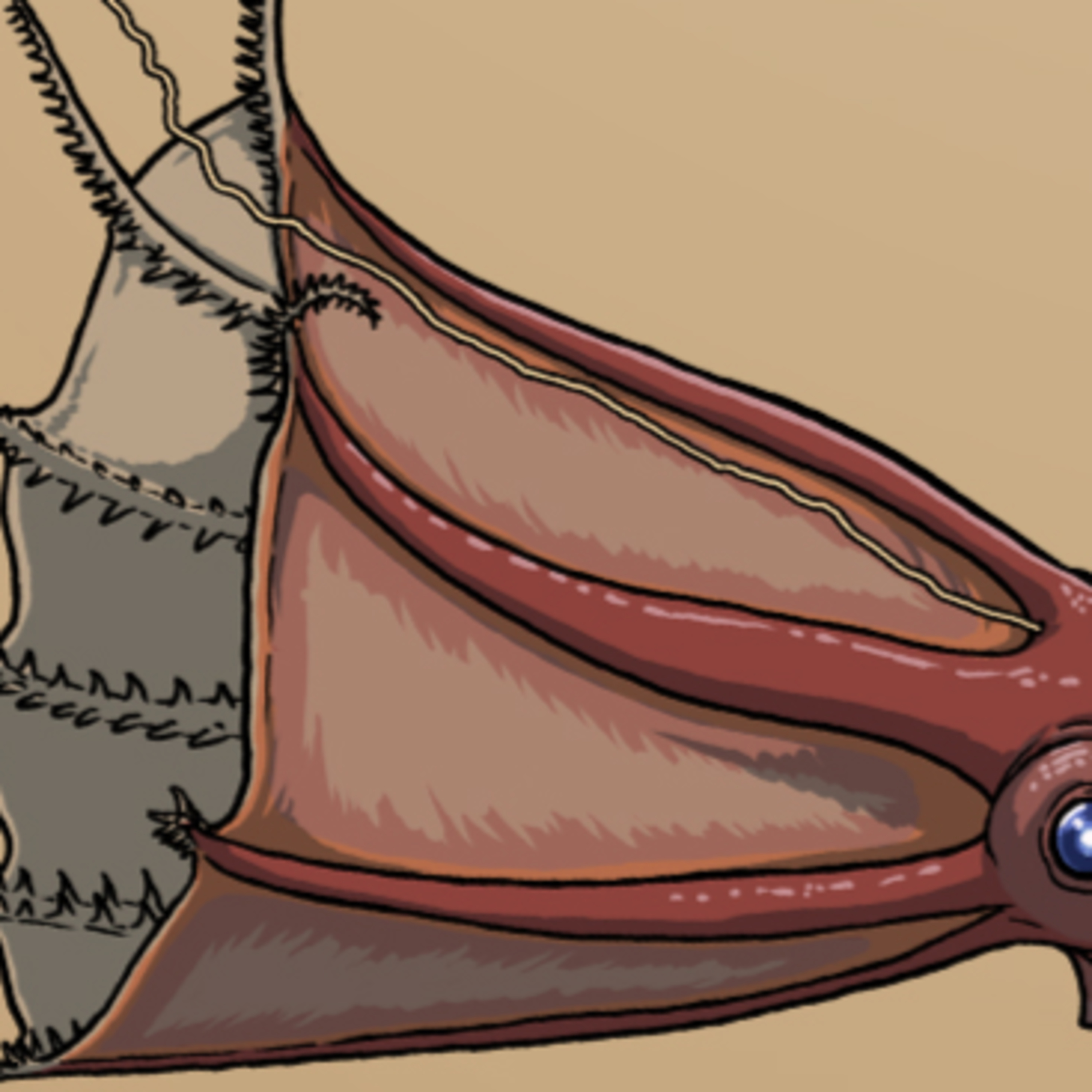 A Spooky Species Special 2025 episode artwork