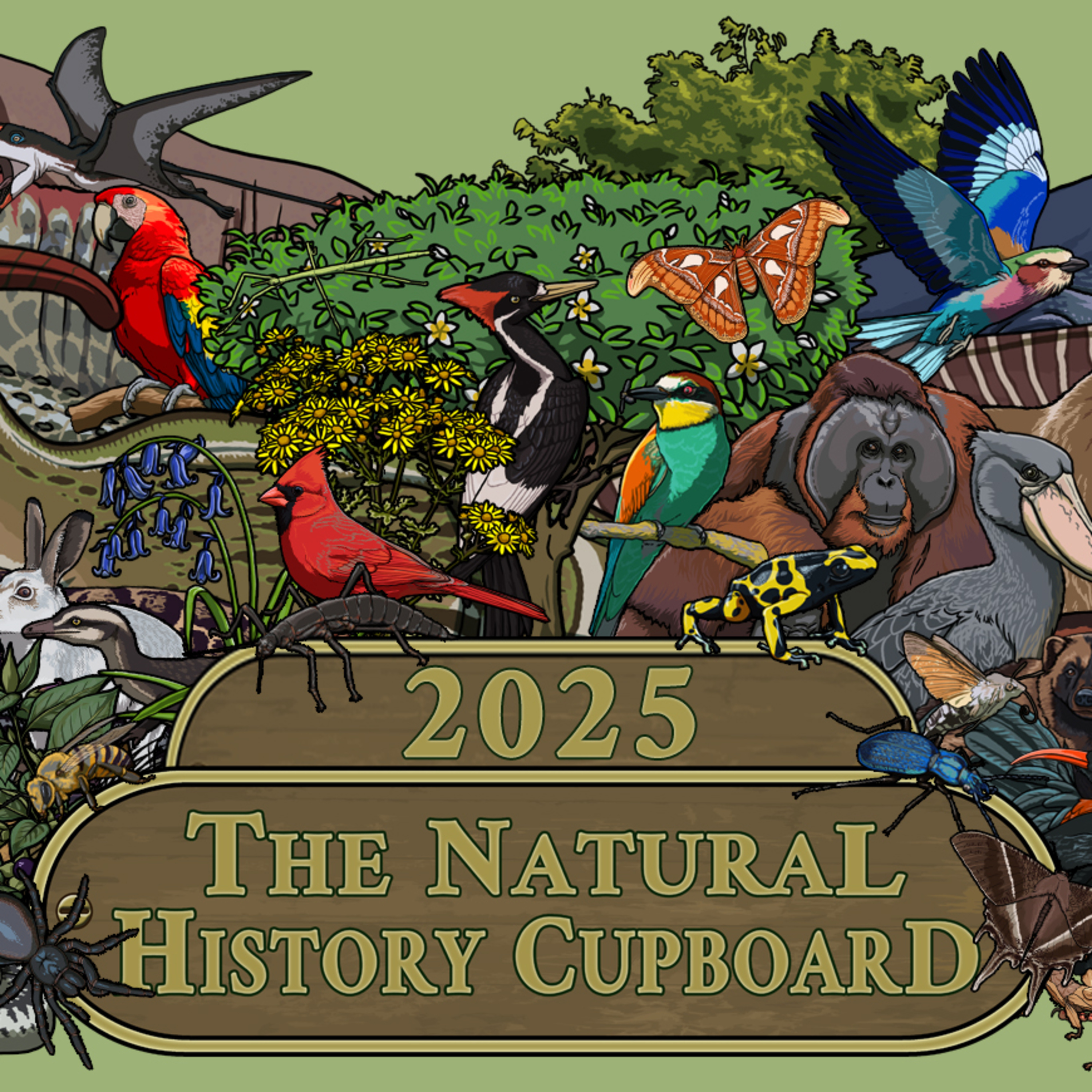 New Year's Quiz 2025 episode artwork