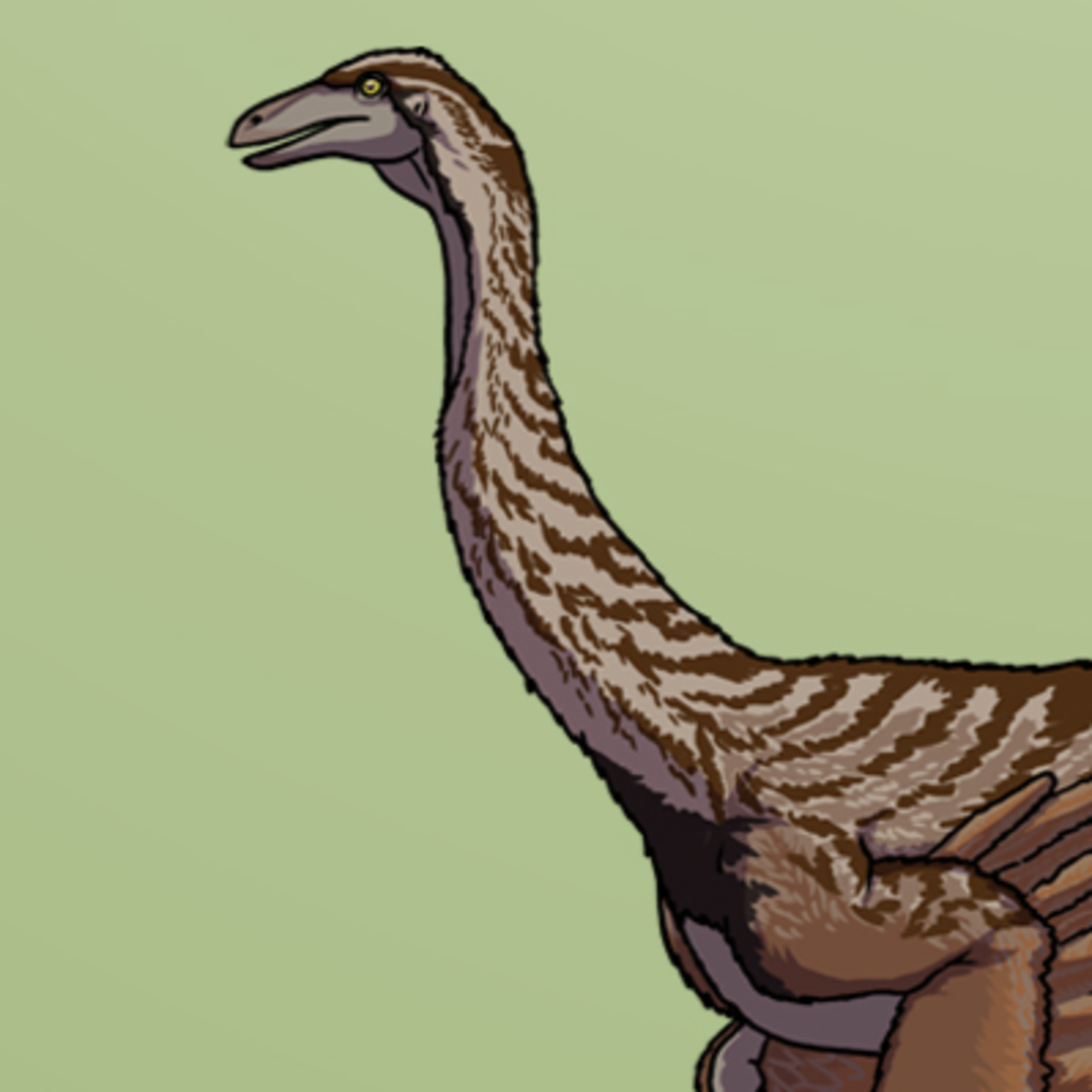 A Palaeo Poultry Pretender  episode artwork