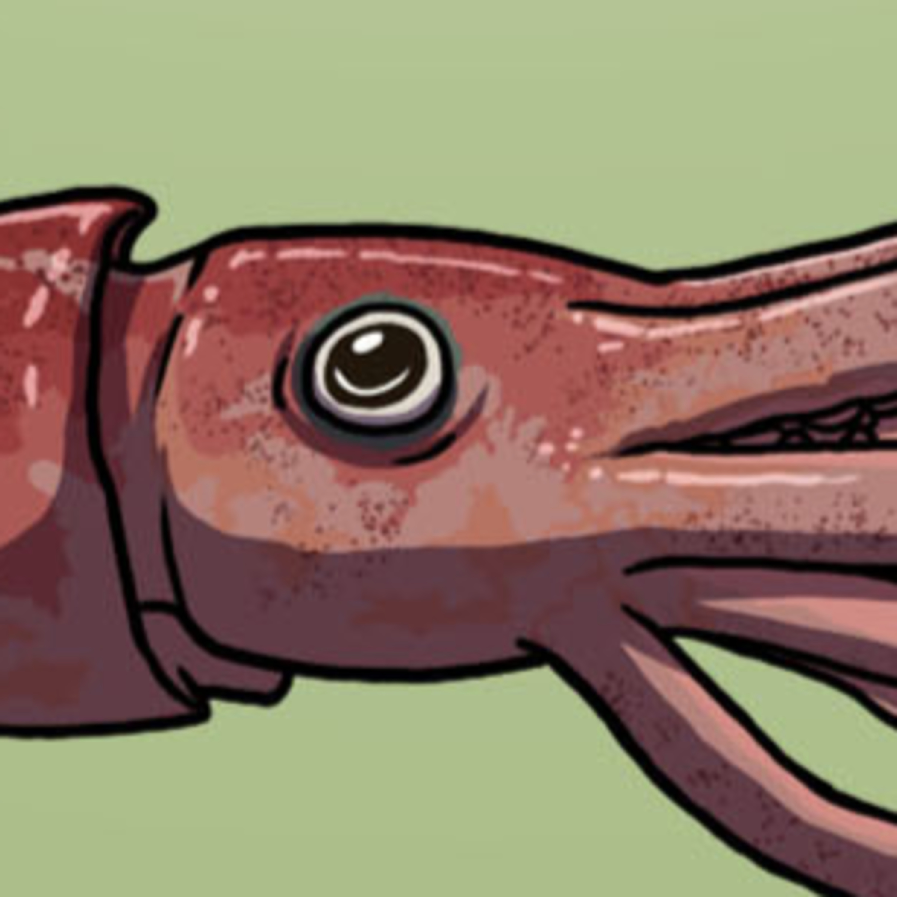 A Kraken Creature episode artwork