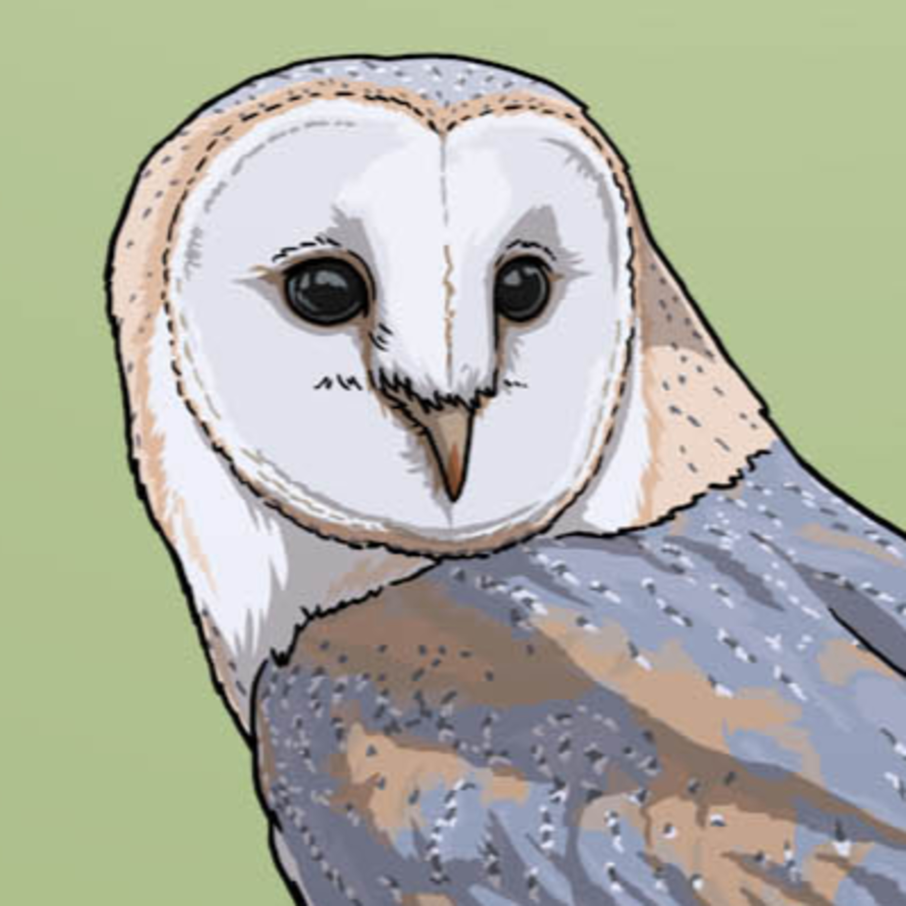 Interview with Dr. Mateo Ruiz (Lead Conservation Officer at the Barn Owl Trust) | Nature Bites  episode artwork