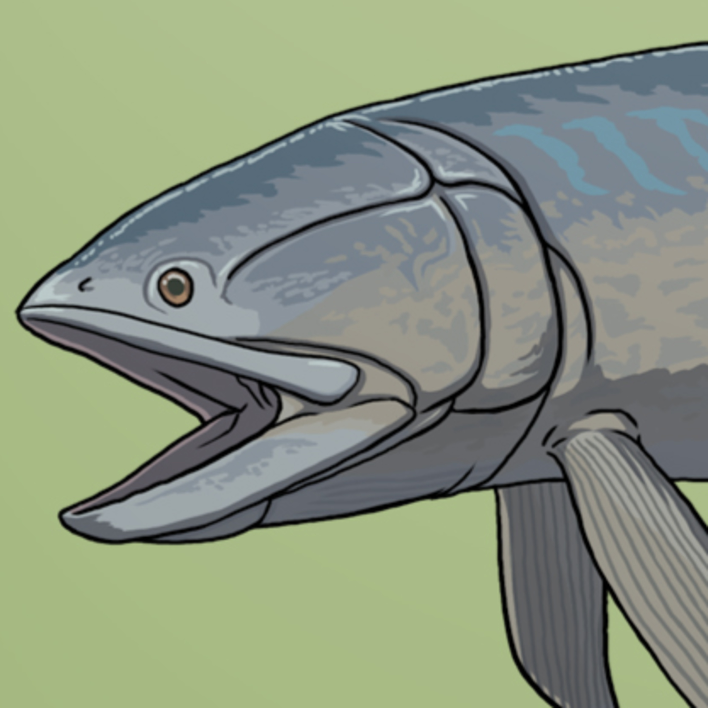 A Fantastically Formidable Fish  episode artwork