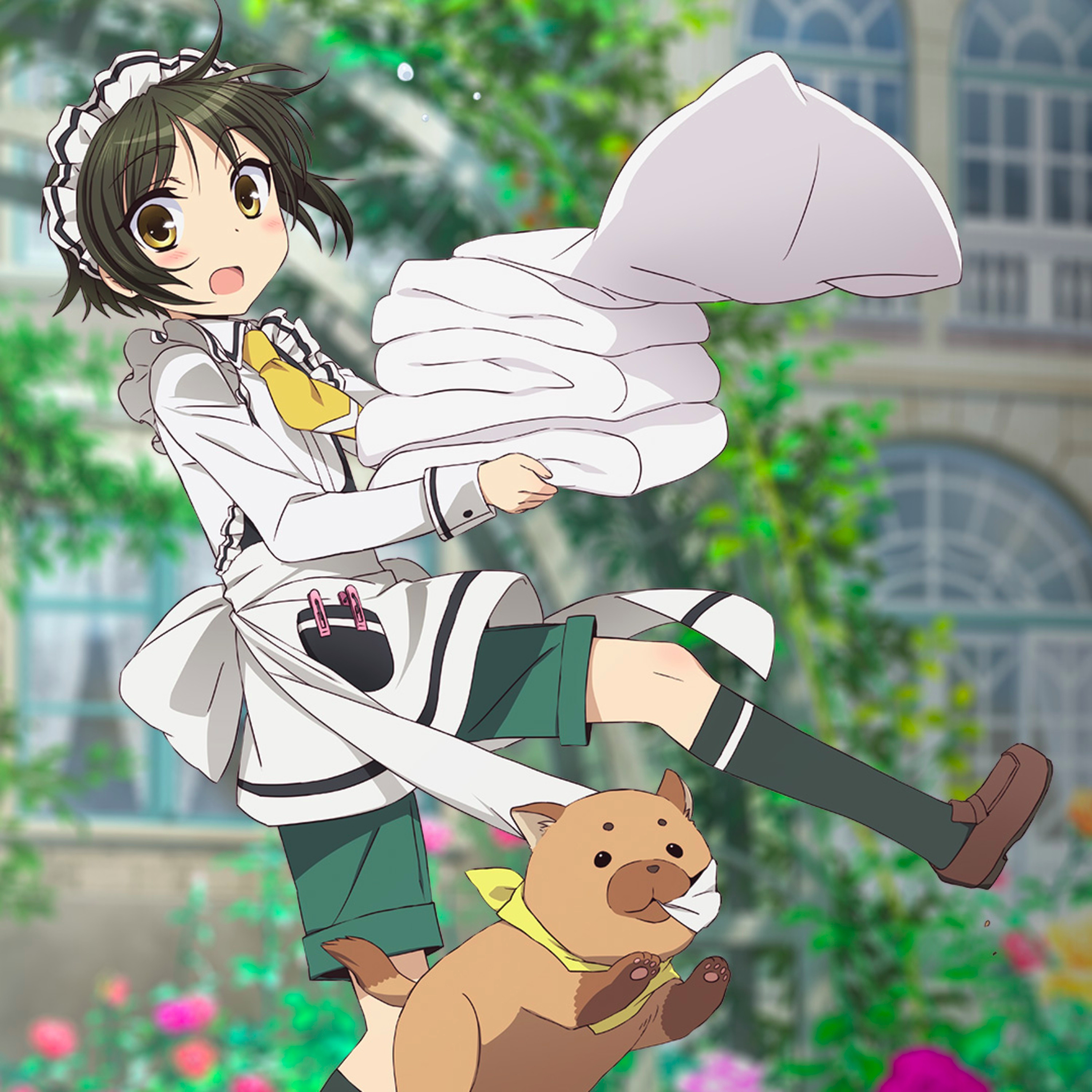 Shounen Maid episode artwork