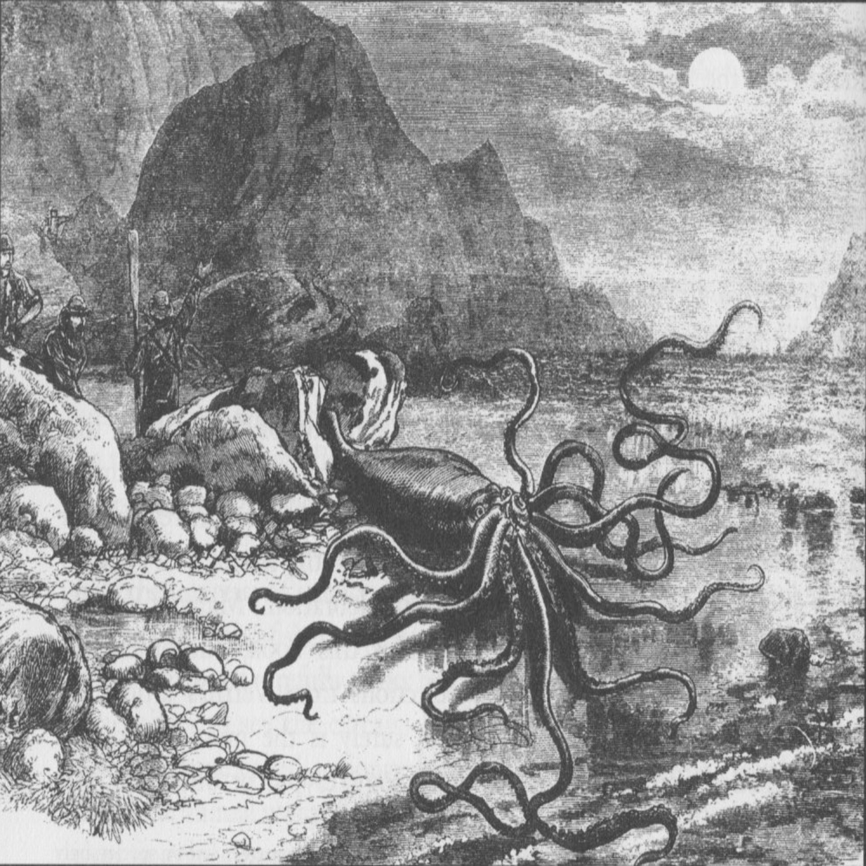 14: NewfoundPod Episode 14 - The Giant Squid of Newfoundland