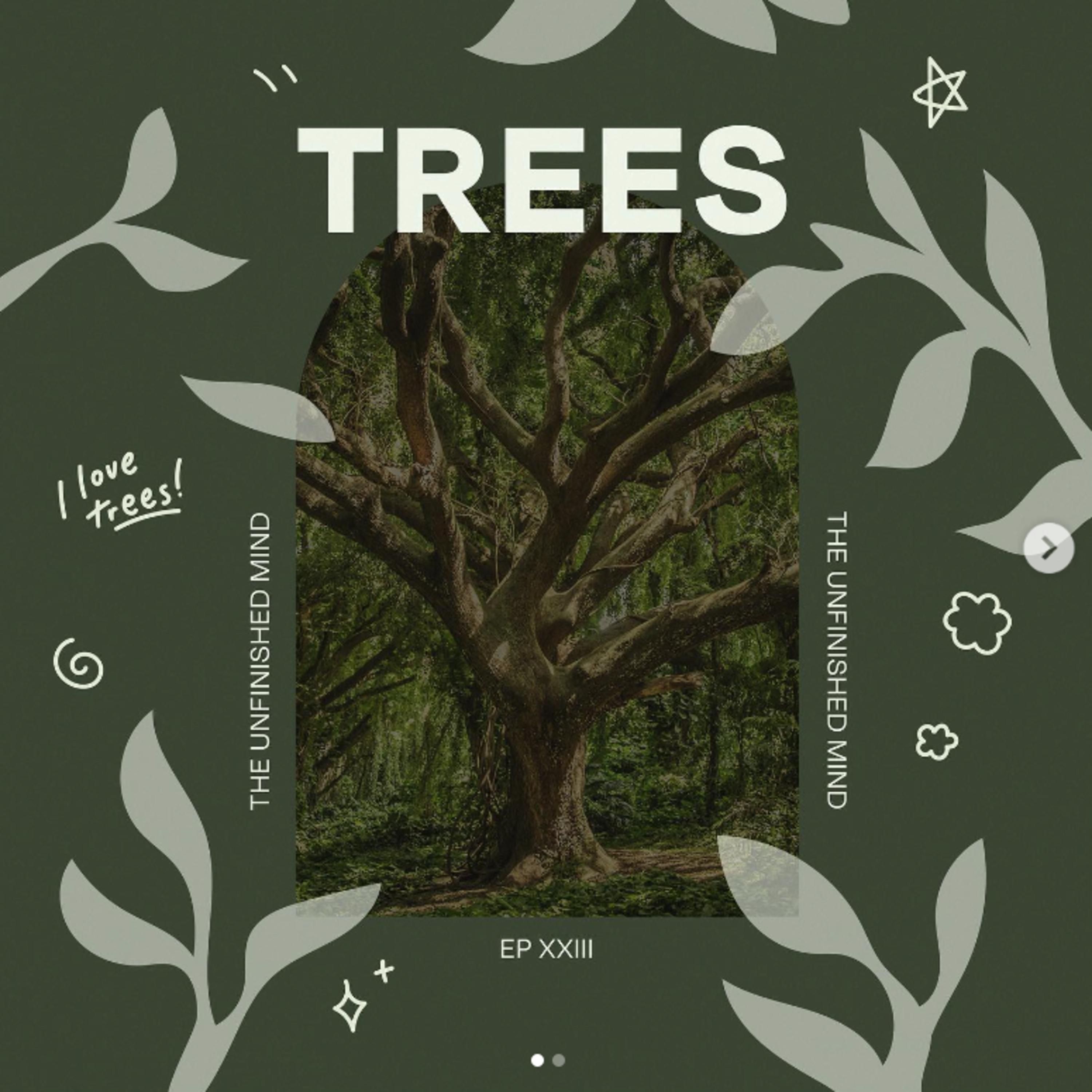 Trees episode artwork