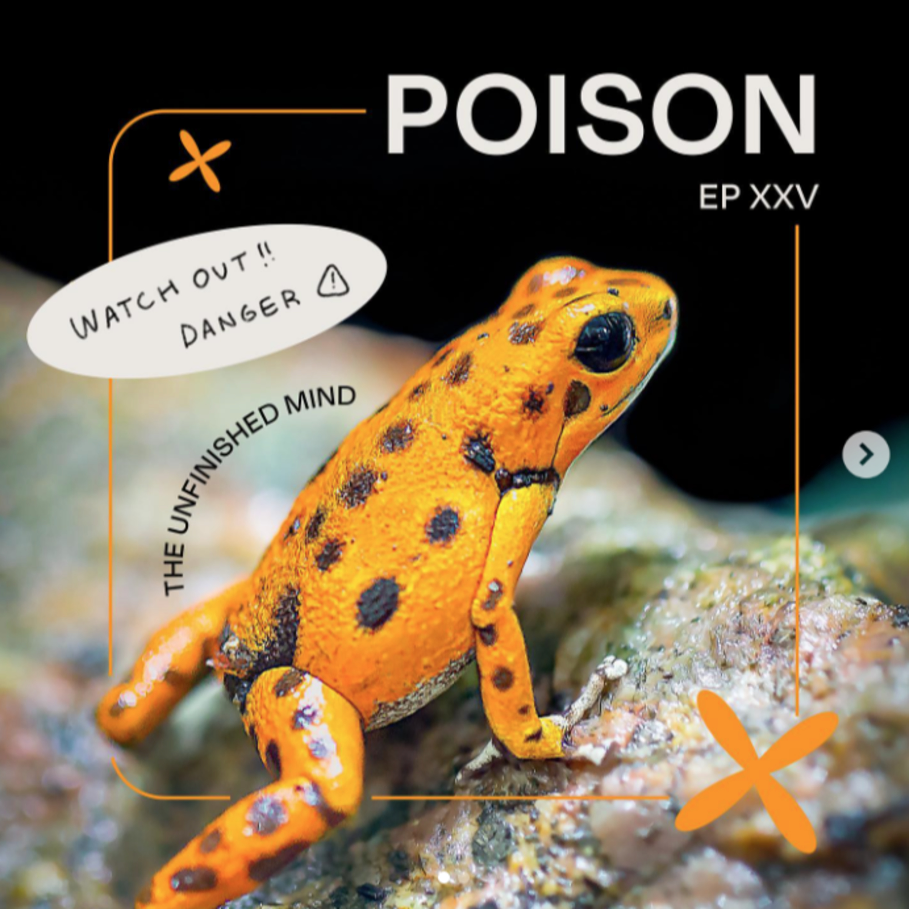 Poison episode artwork