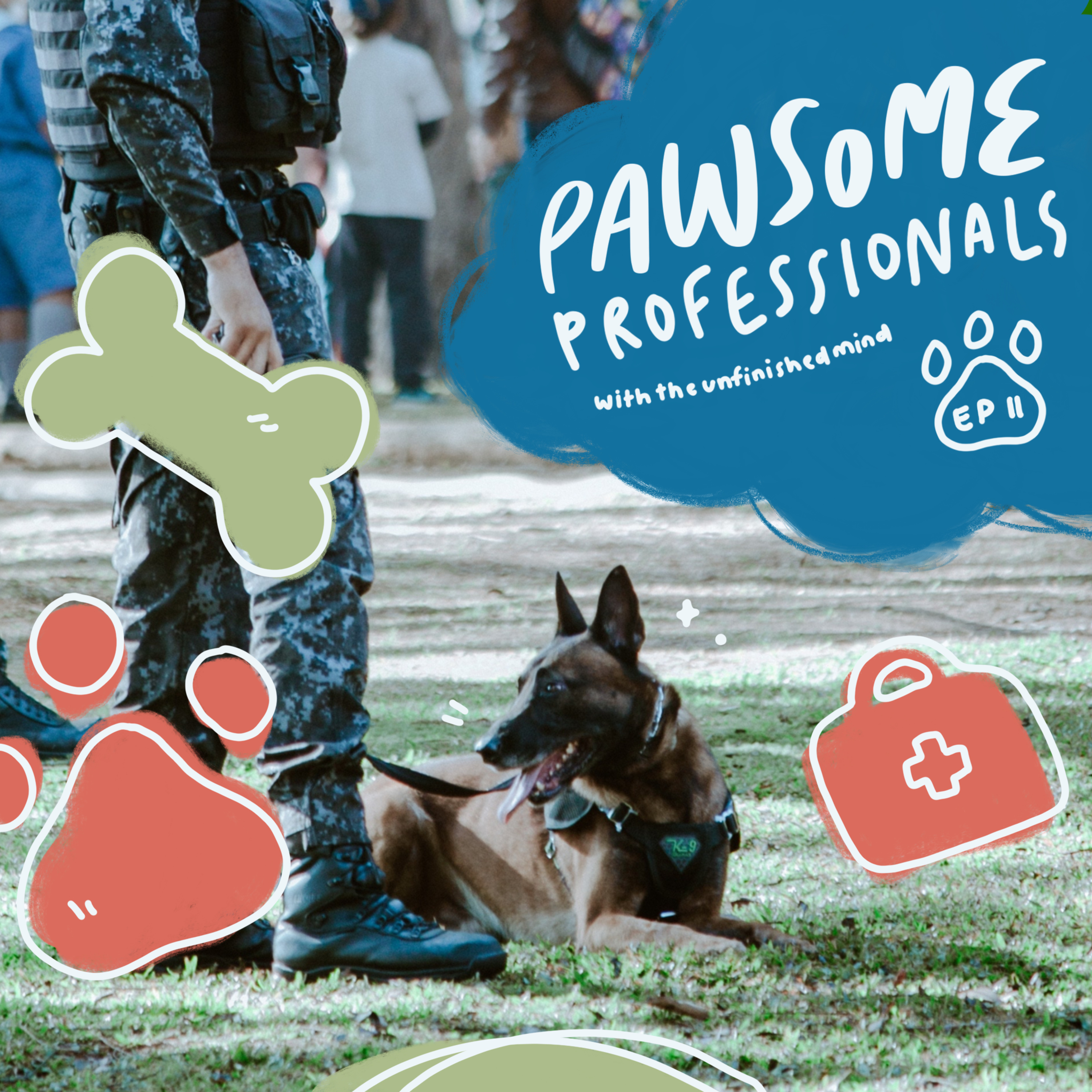 Pawsome Professionals episode artwork