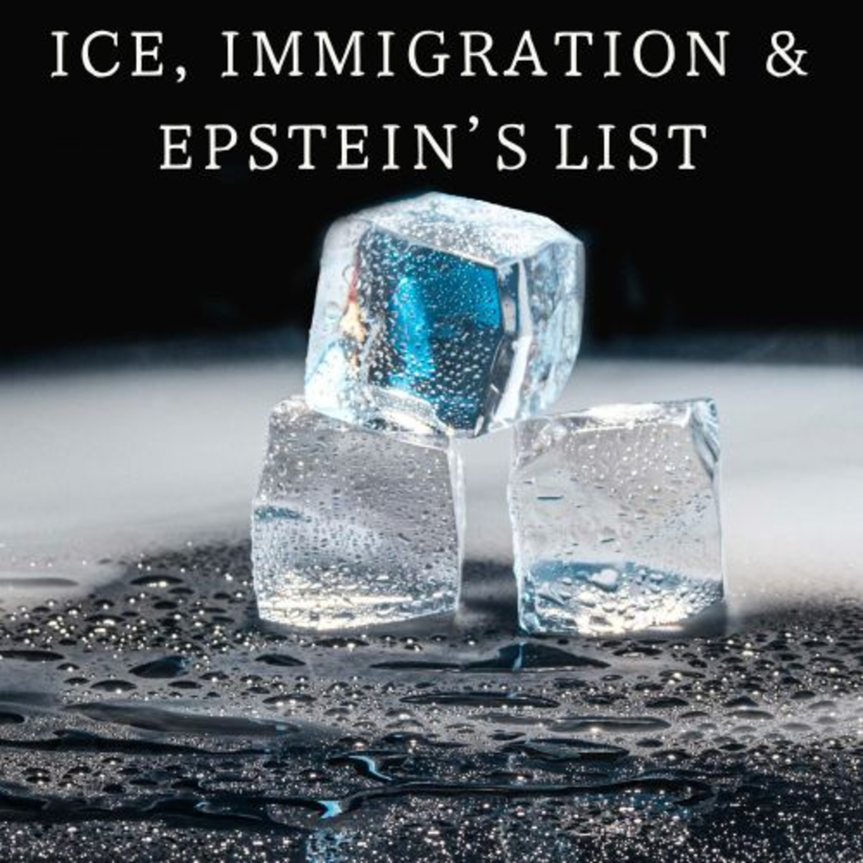 ICE, Immigration & Epstein's List episode artwork