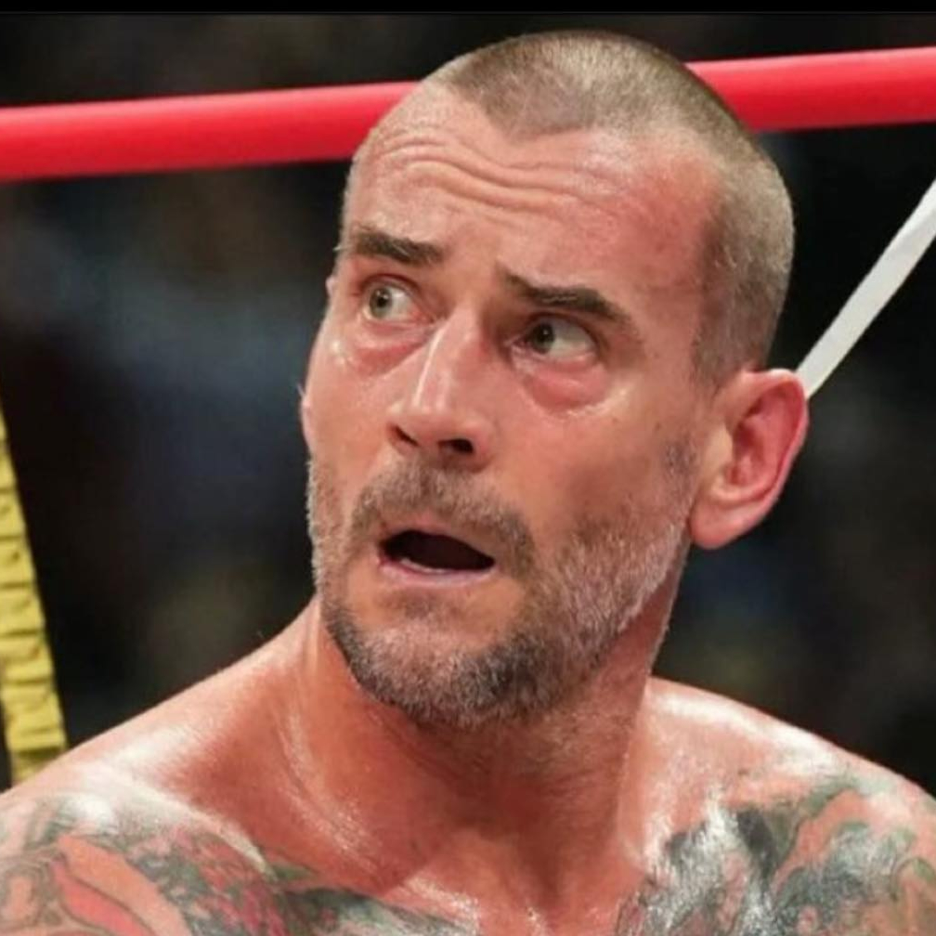 HAPPY LABOR DAY EVERYONE. CM PUNK FIRED FROM AEW! HAPPY OR SAD? thumbnail