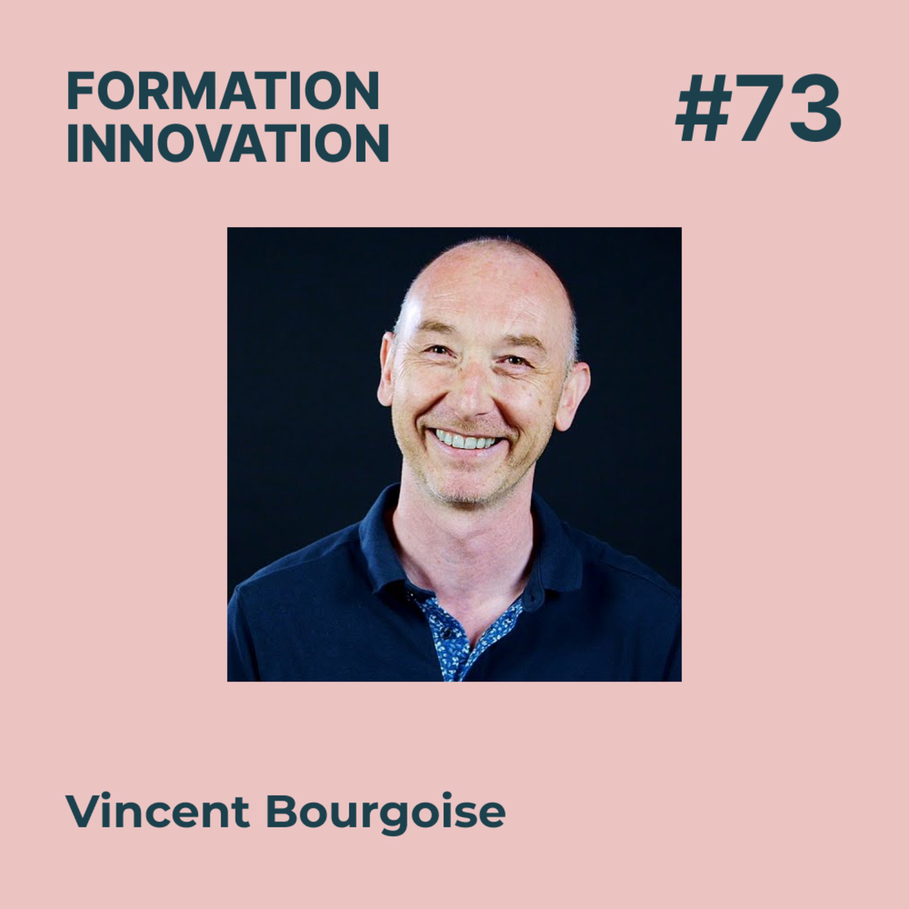 #73 - Stratégie Pédagogique : les conseils d'un expert pour favoriser la montée en compétences, avec Vincent Bourgoise - Diginnovative