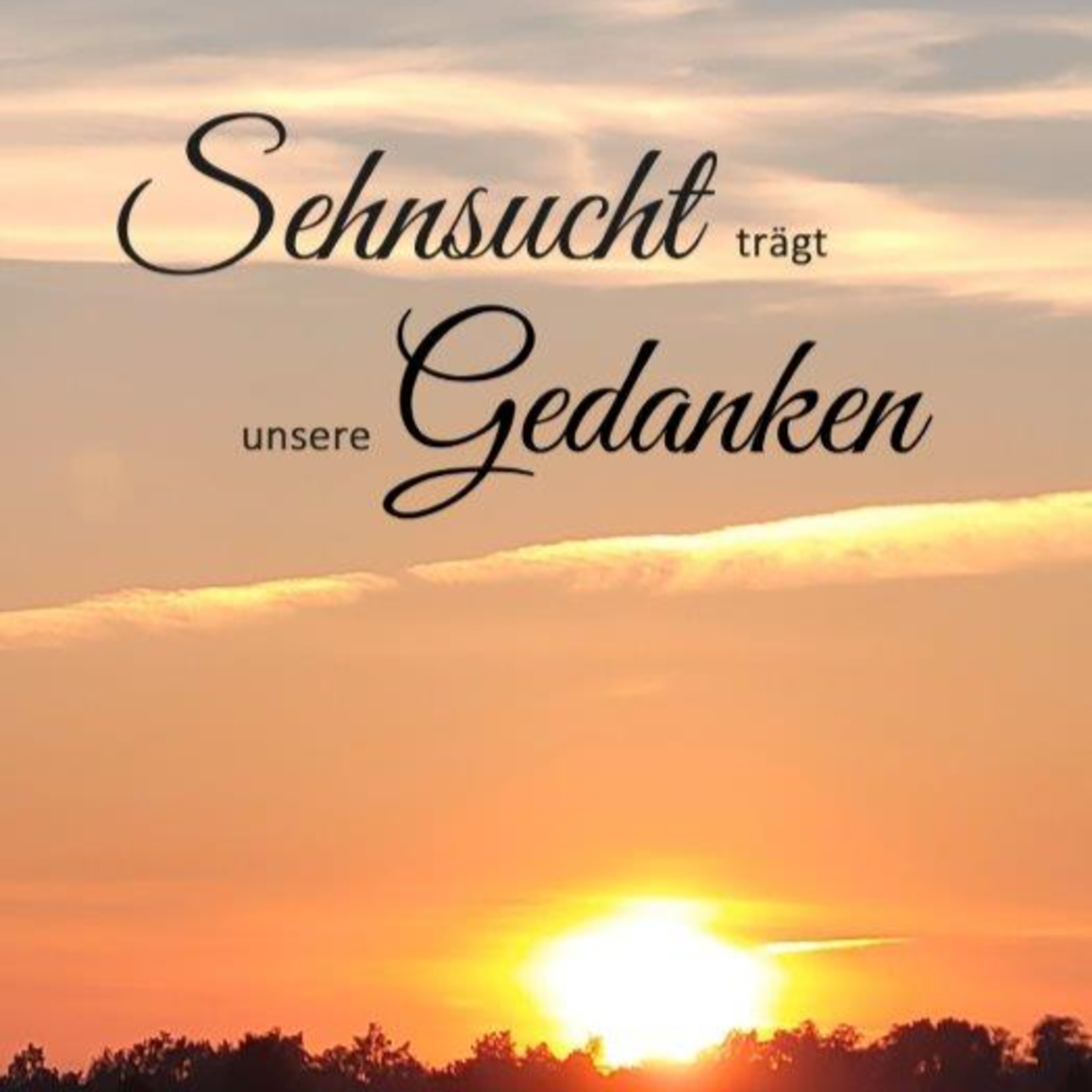 Verlag Andrea Schröder, Inhaber Jens Koch