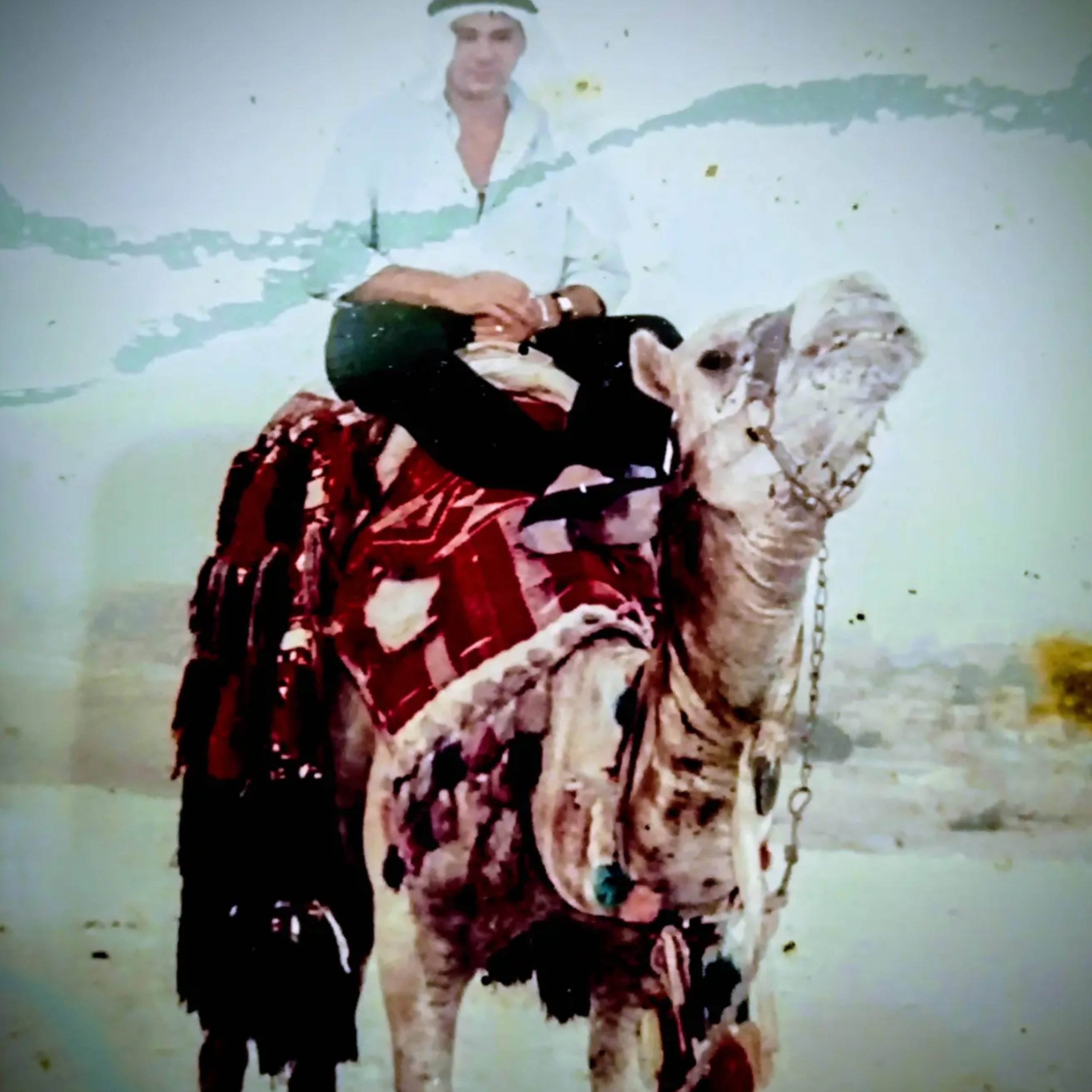 EscalonaPoetas en extinción