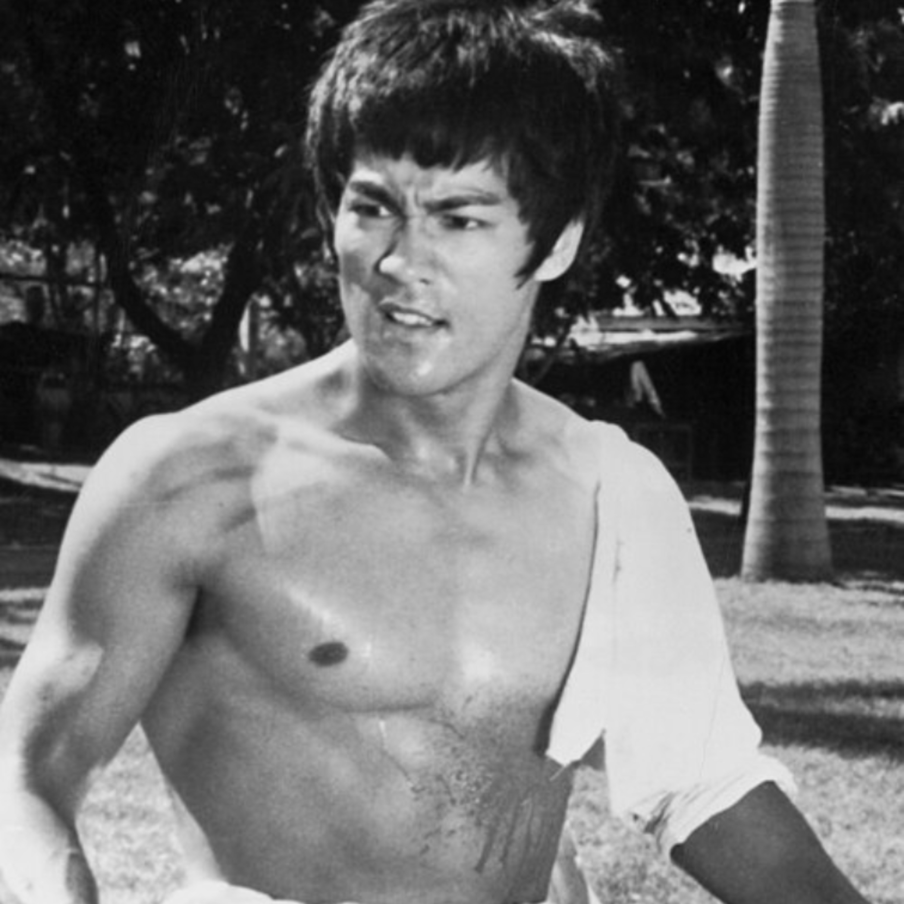 Bruce Lee filósofo  episode artwork