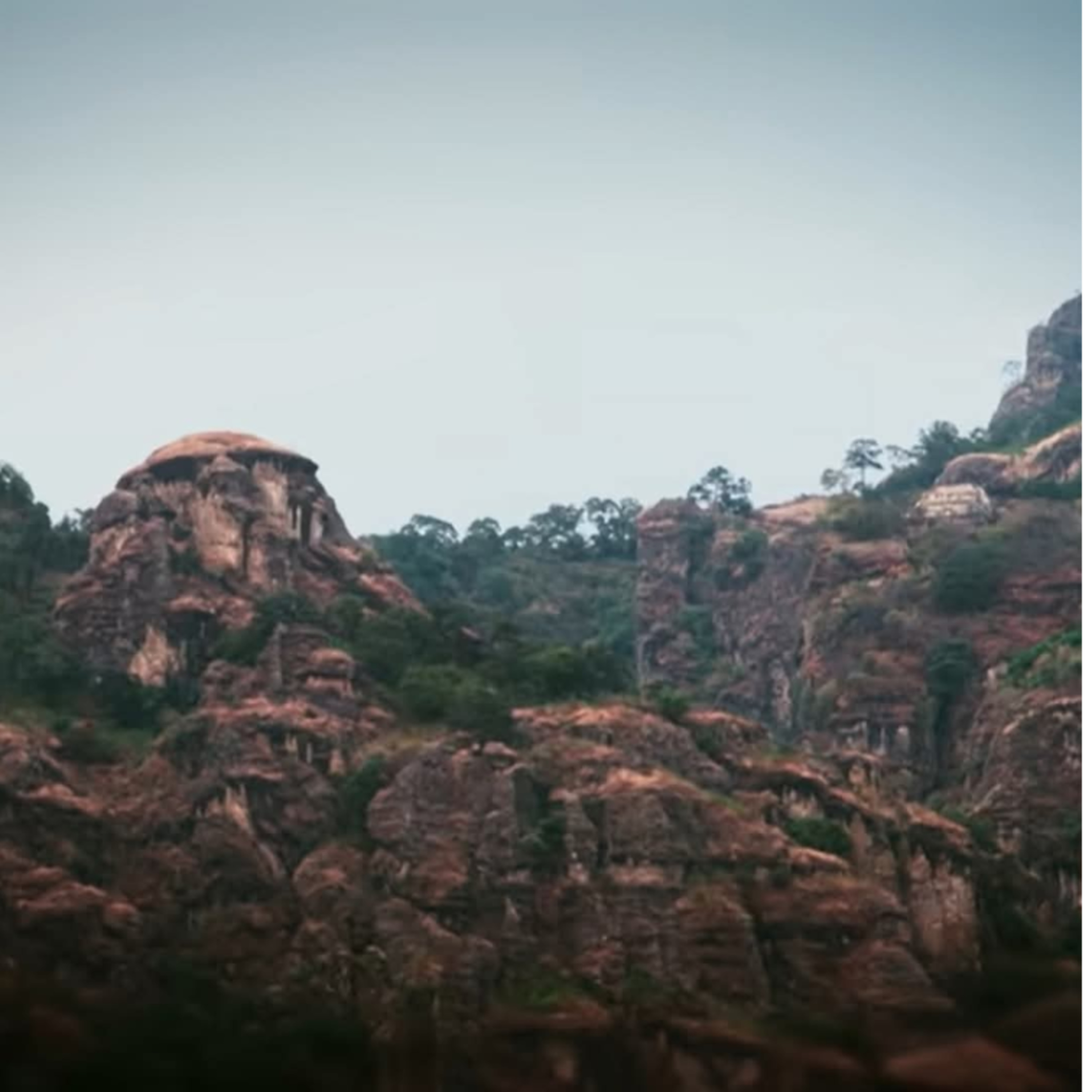 EscalonaPoetas en extinción