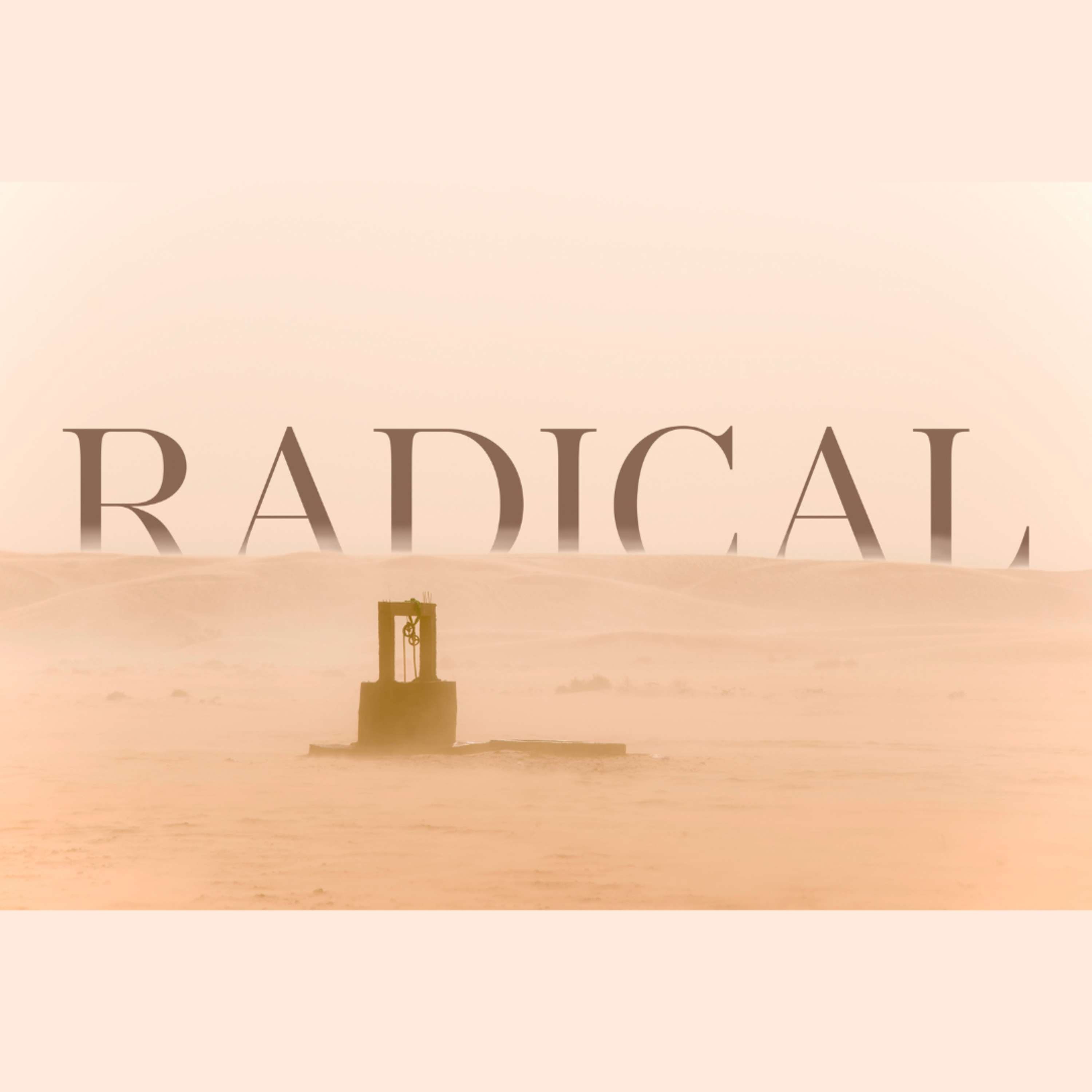 Radical Grace episode artwork