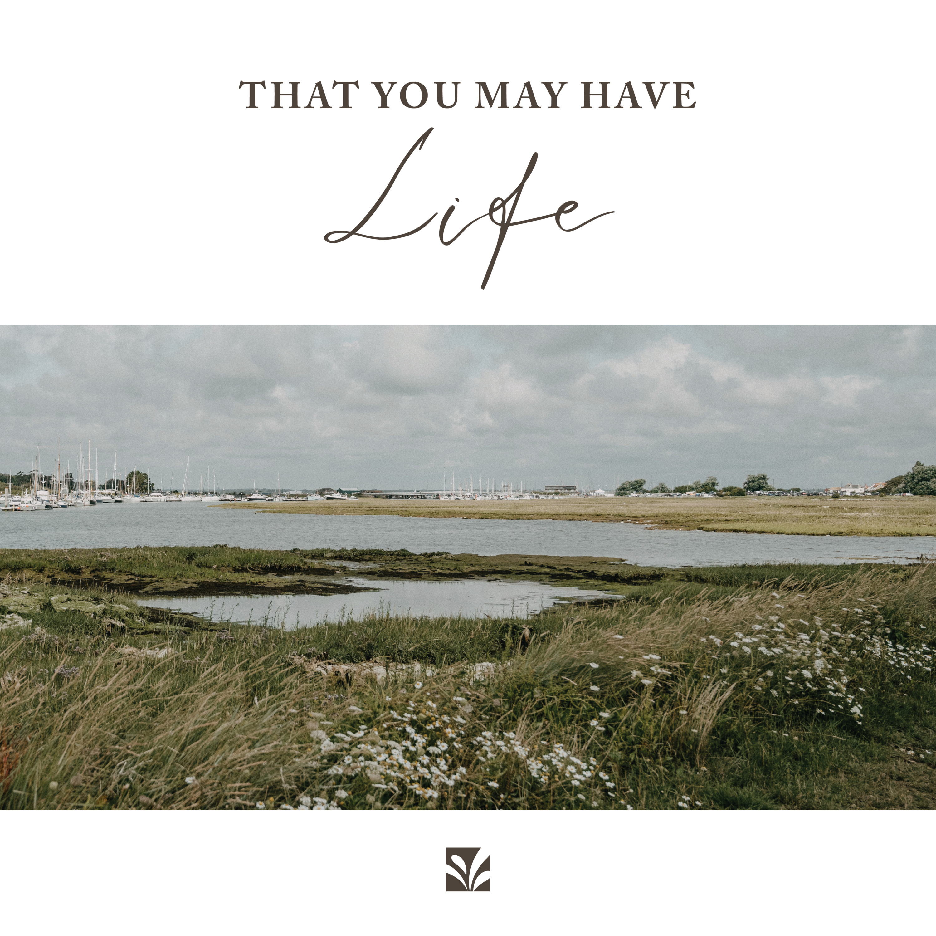 Jesus: The Resurrection & the Life // "That You May Have Life," episode 5 episode artwork