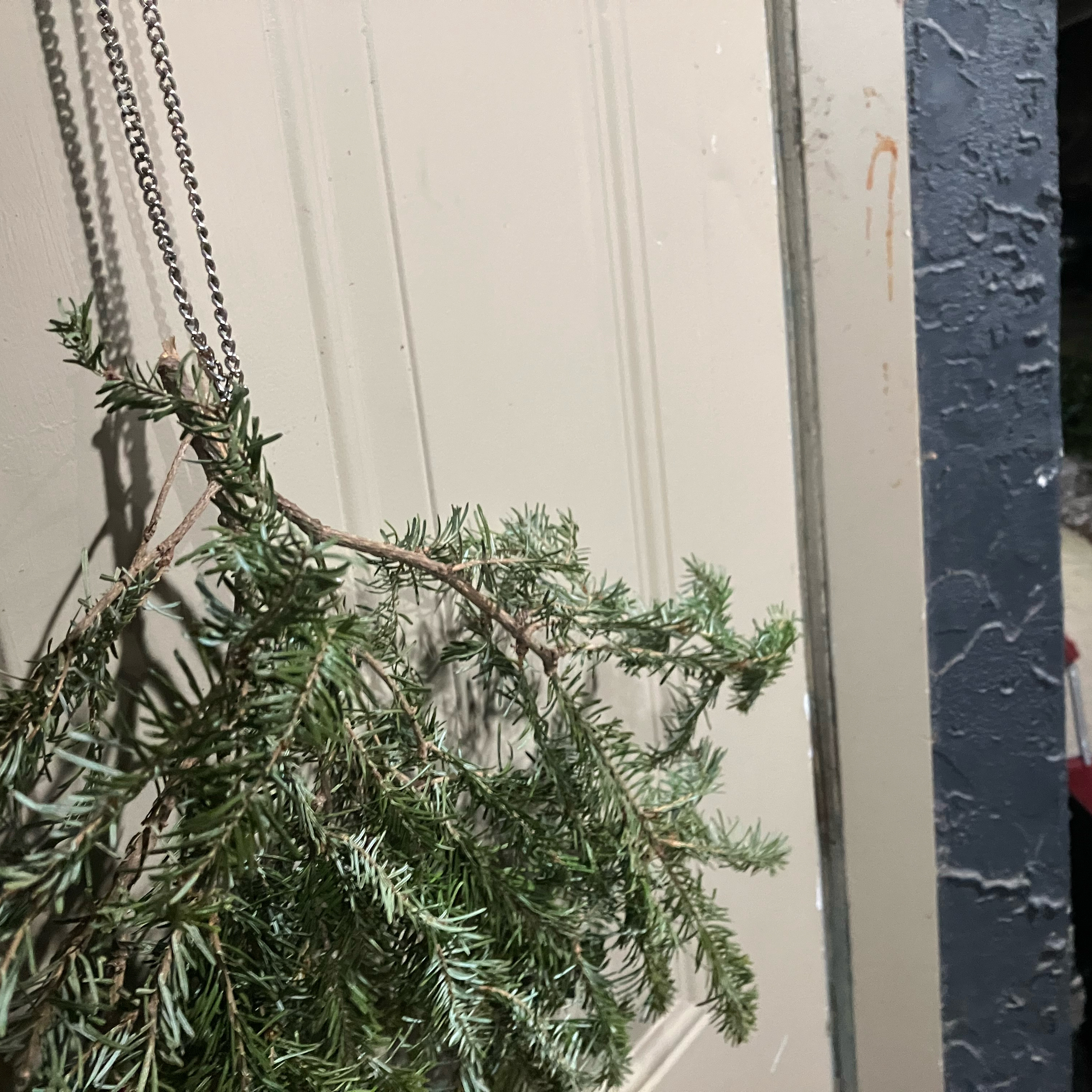 Zooming out. Health, AI, and continuing to recognize the story as a part of life. Happy New Year.