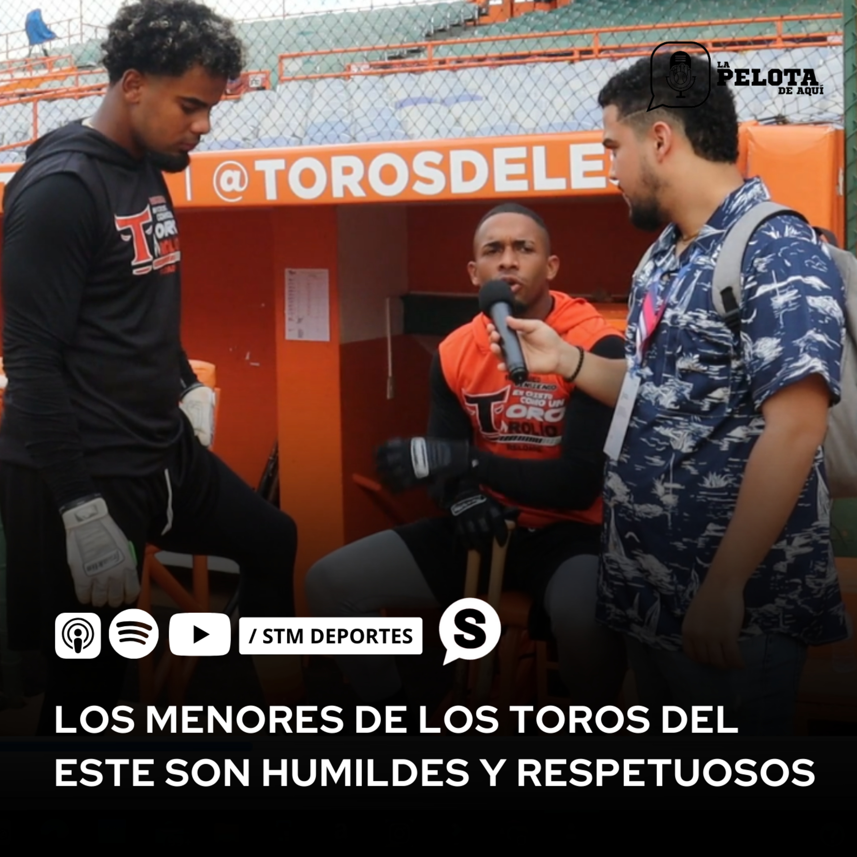 Starlin Gil y Moisés Castillo solo esperan el chance episode artwork