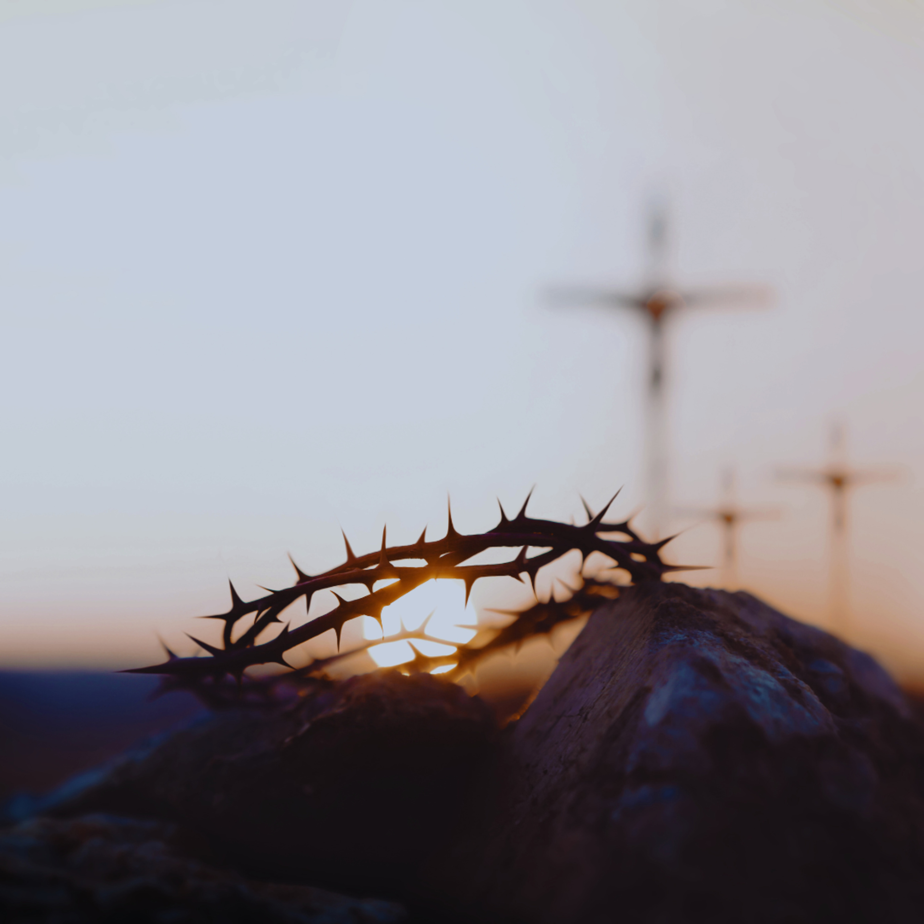 The Blood of Christ - Richard E. Simmons III