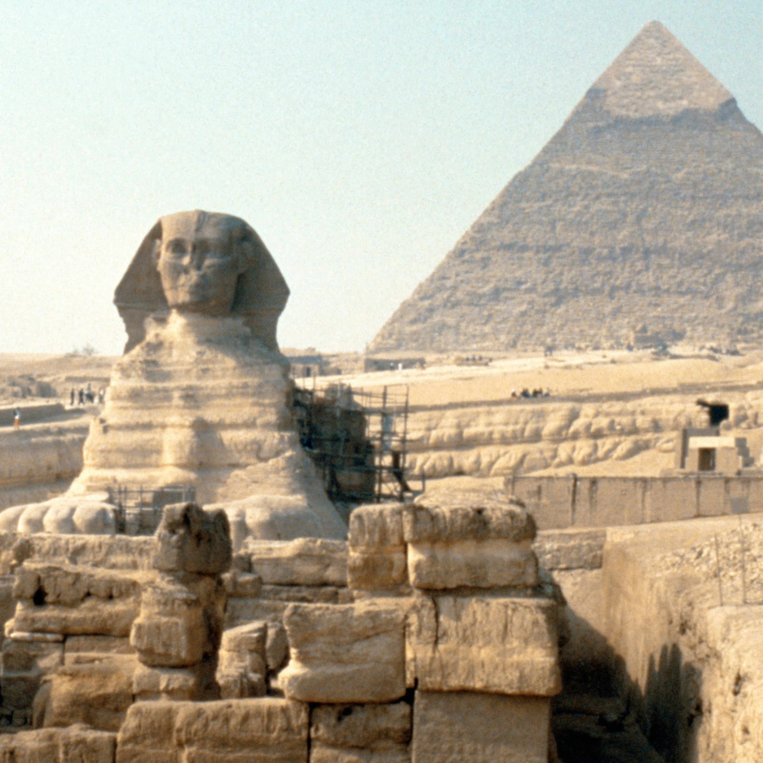 Whom Are You Going To Trust? - Dr. Mark Gignilliat