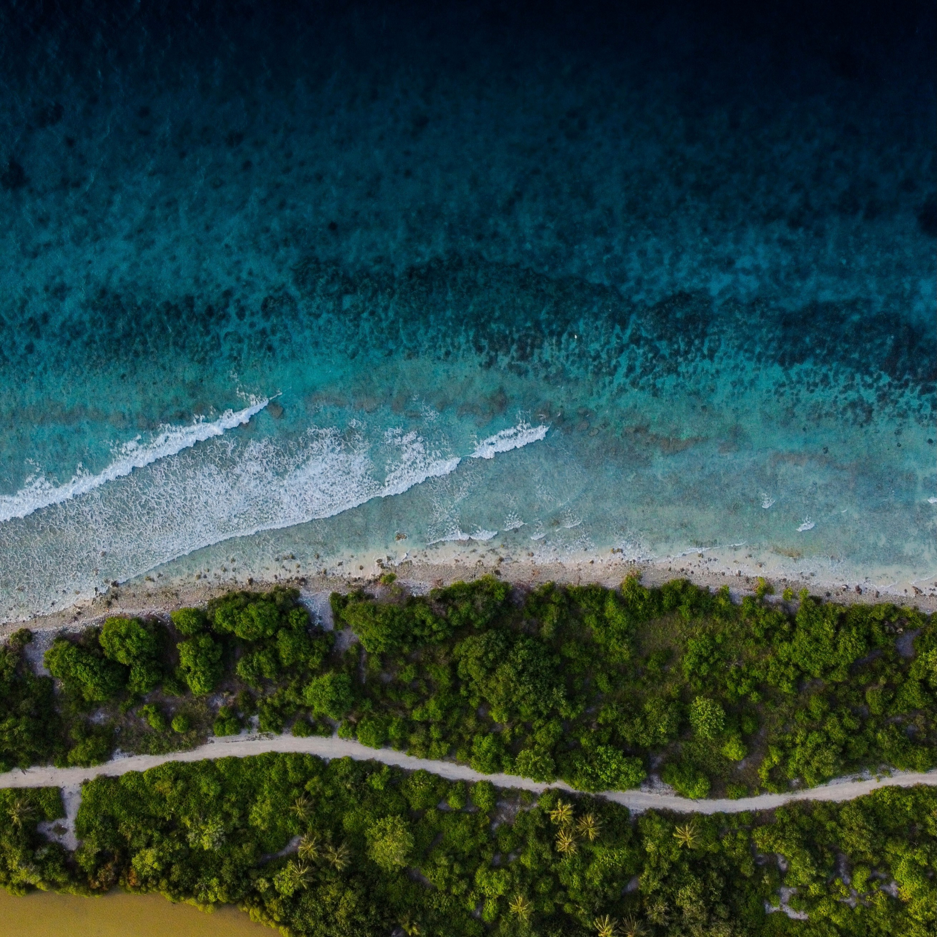 Understanding a Man's Heart - Richard E. Simmons III