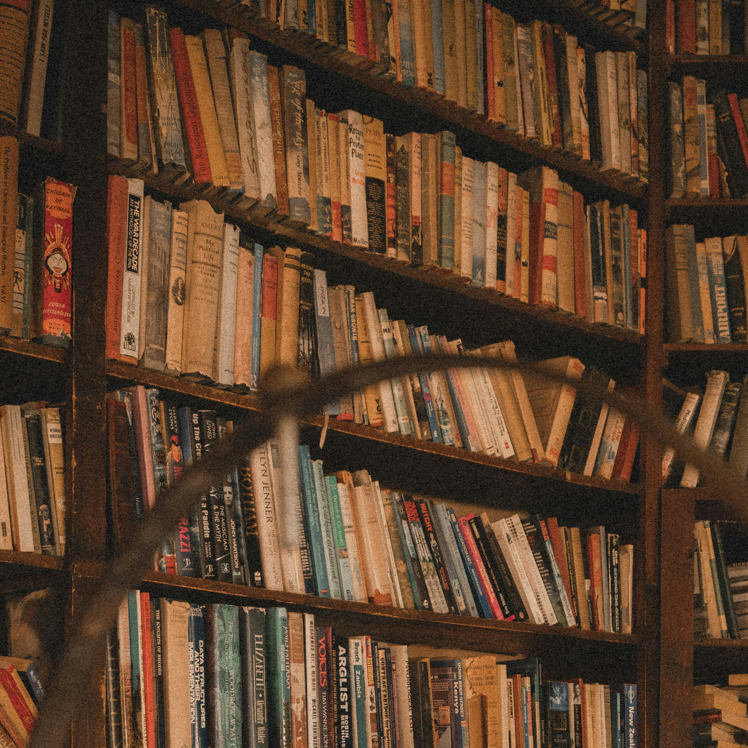 Christ and the Old Testament - Dr. Mark Gignilliat