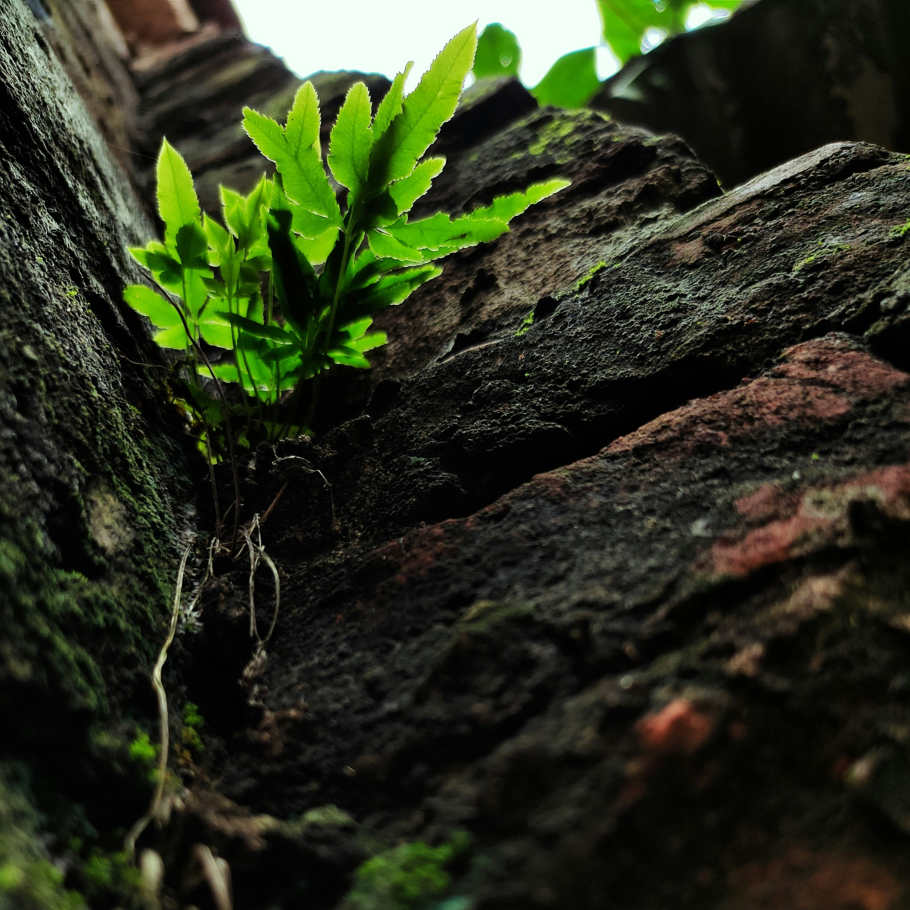 Having A Living Faith - Richard E. Simmons III