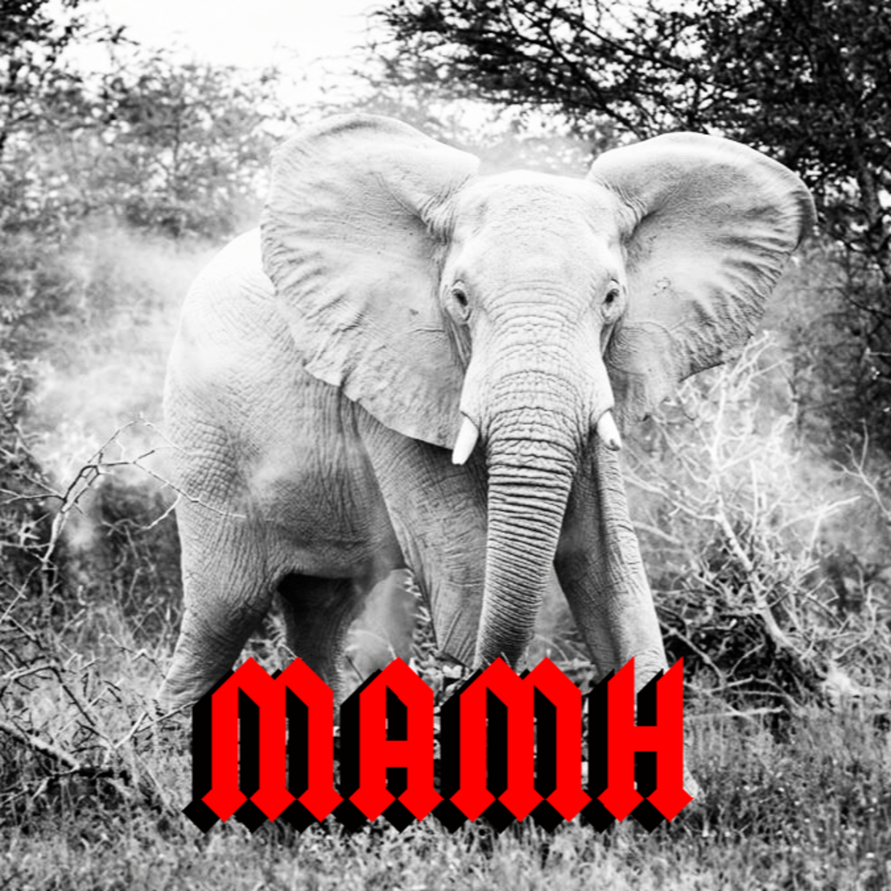 Ep 233: White Elephant Party episode artwork