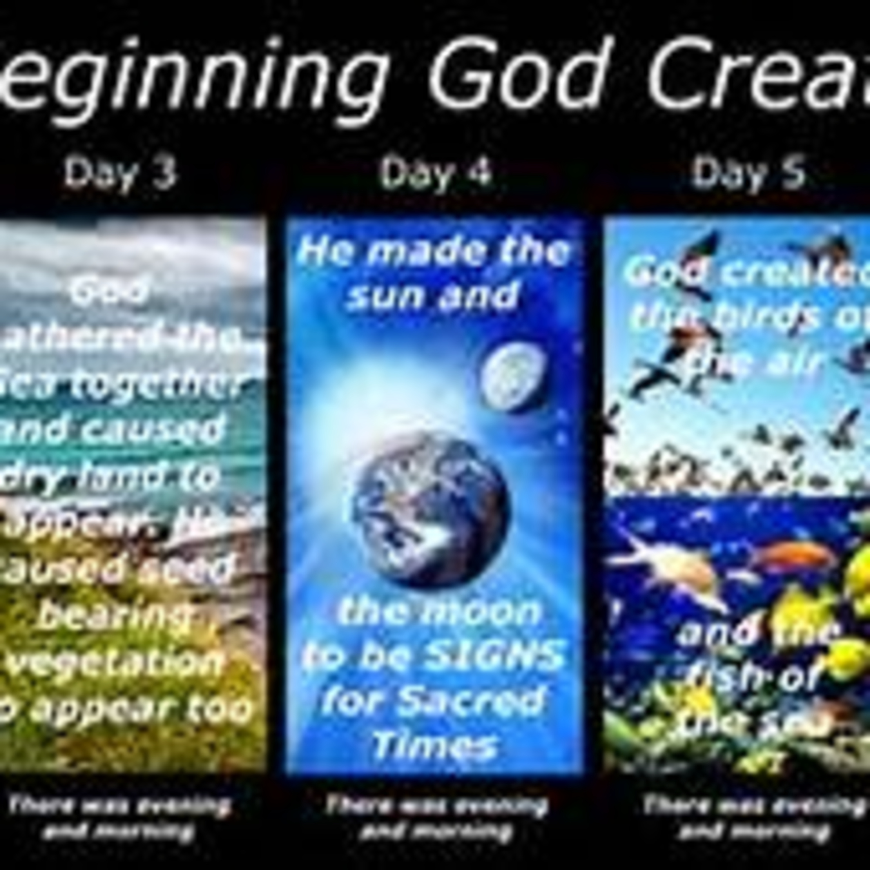 Twelve Days of Christmas: Six Days of Creation episode artwork