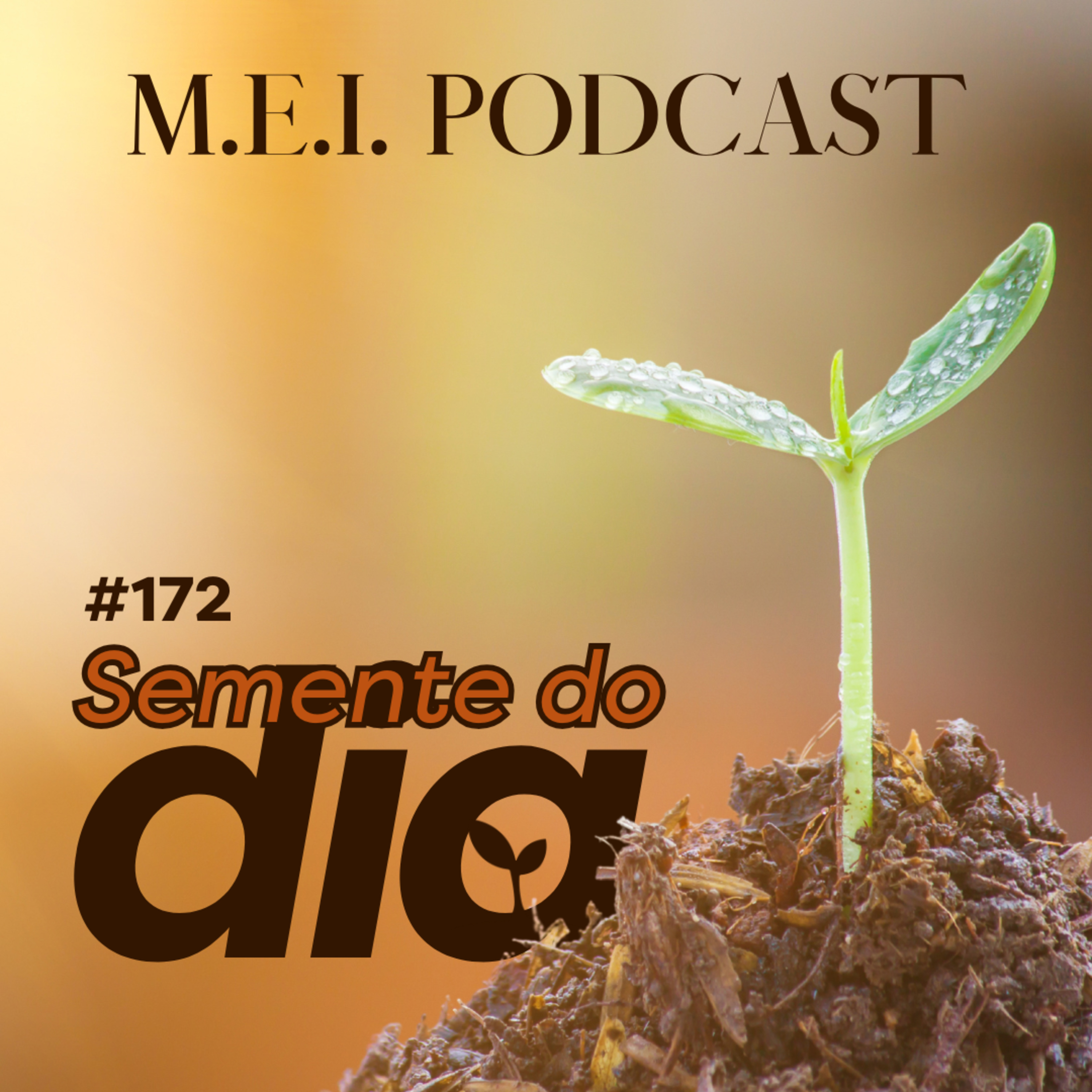 M.E.I. Podcast