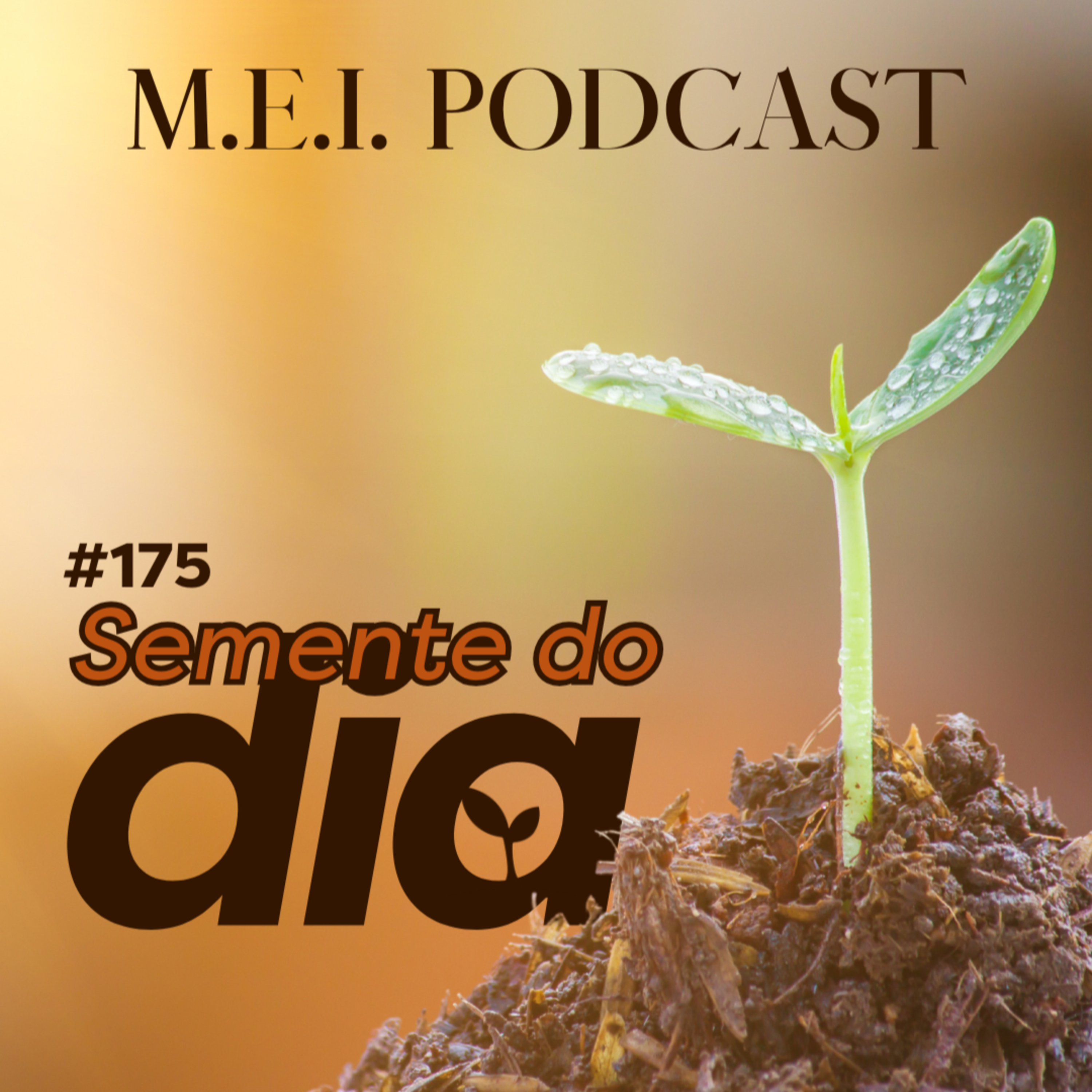 M.E.I. Podcast