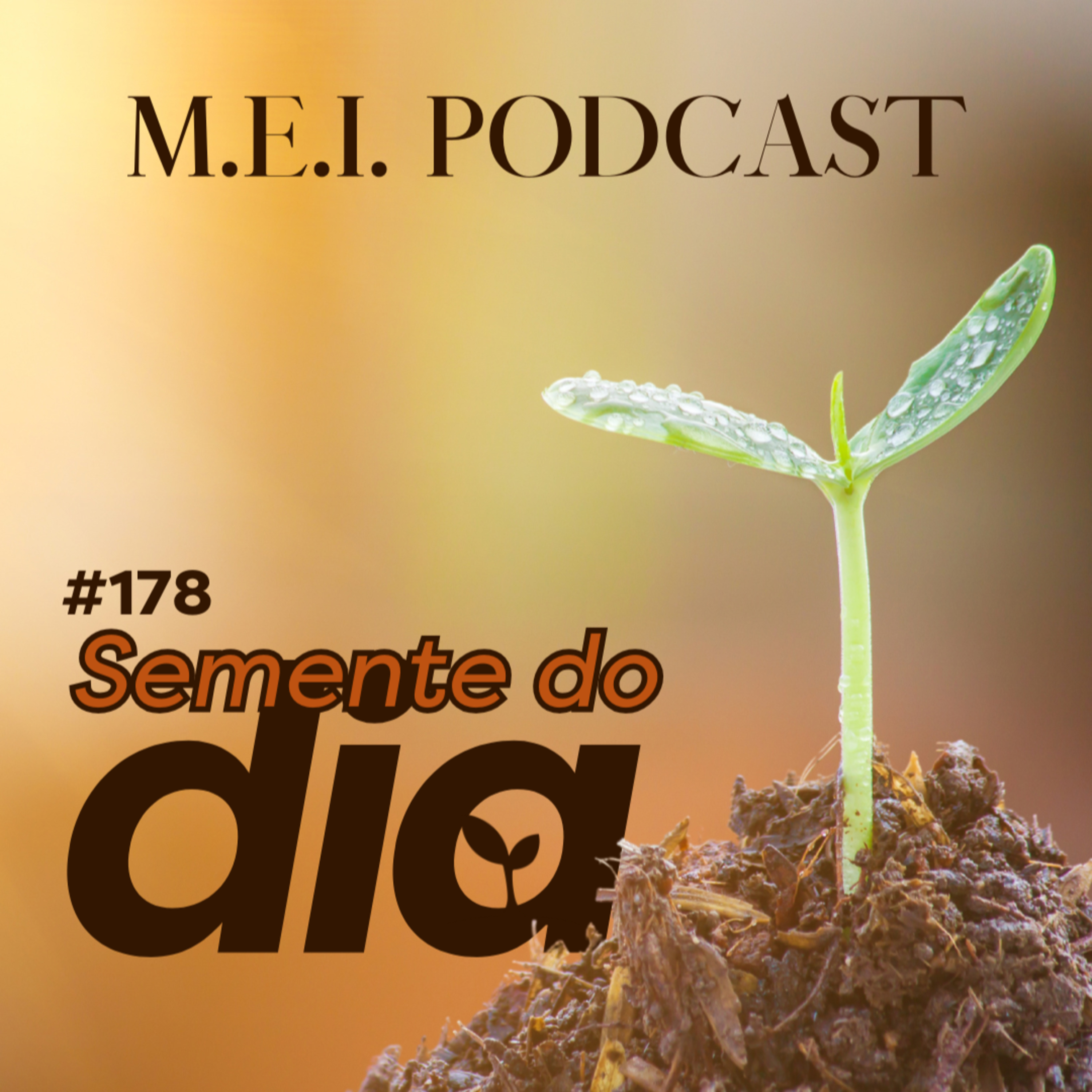 M.E.I. Podcast