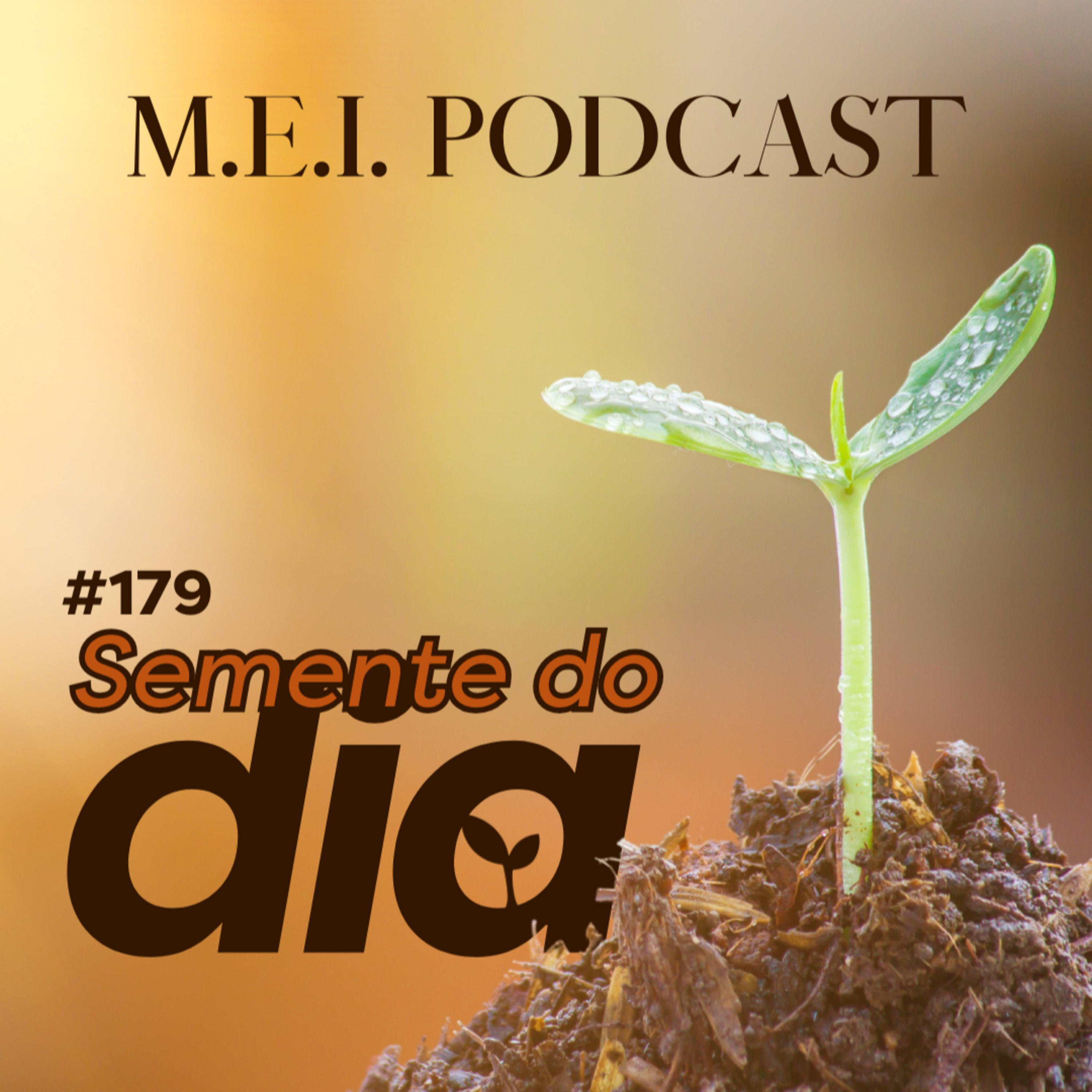 M.E.I. Podcast