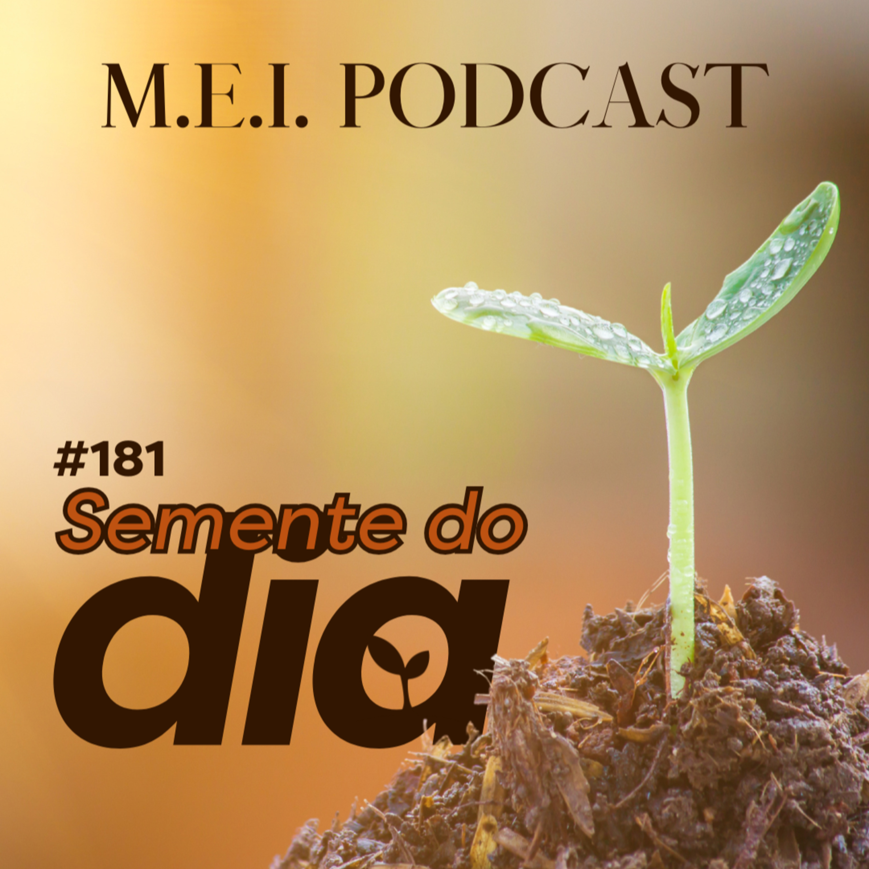 M.E.I. Podcast