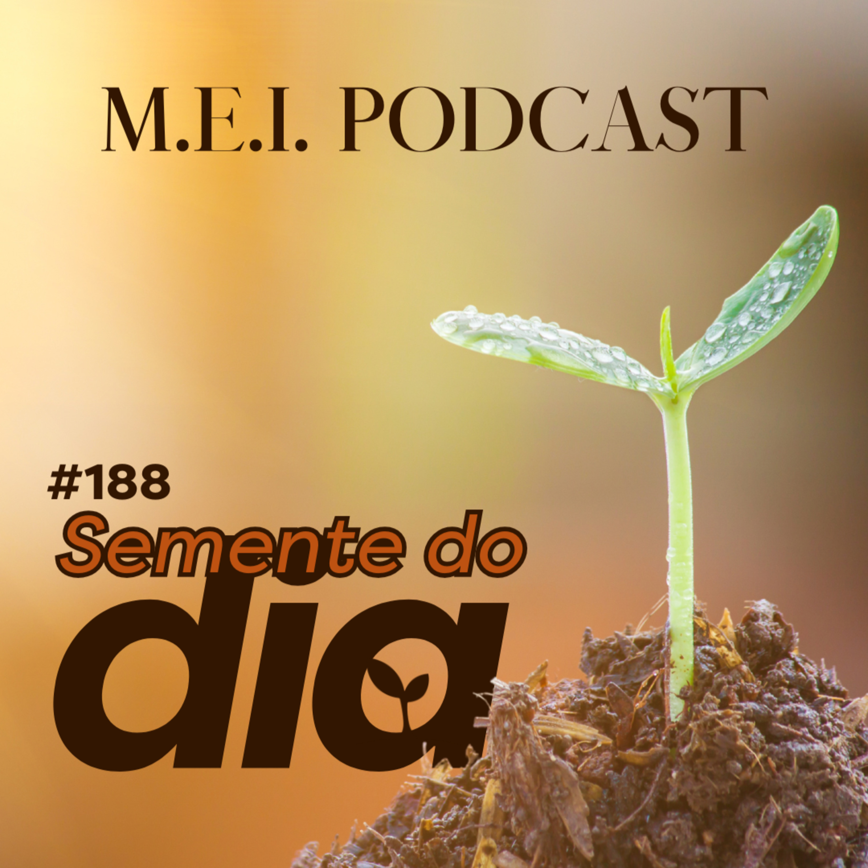 M.E.I. Podcast