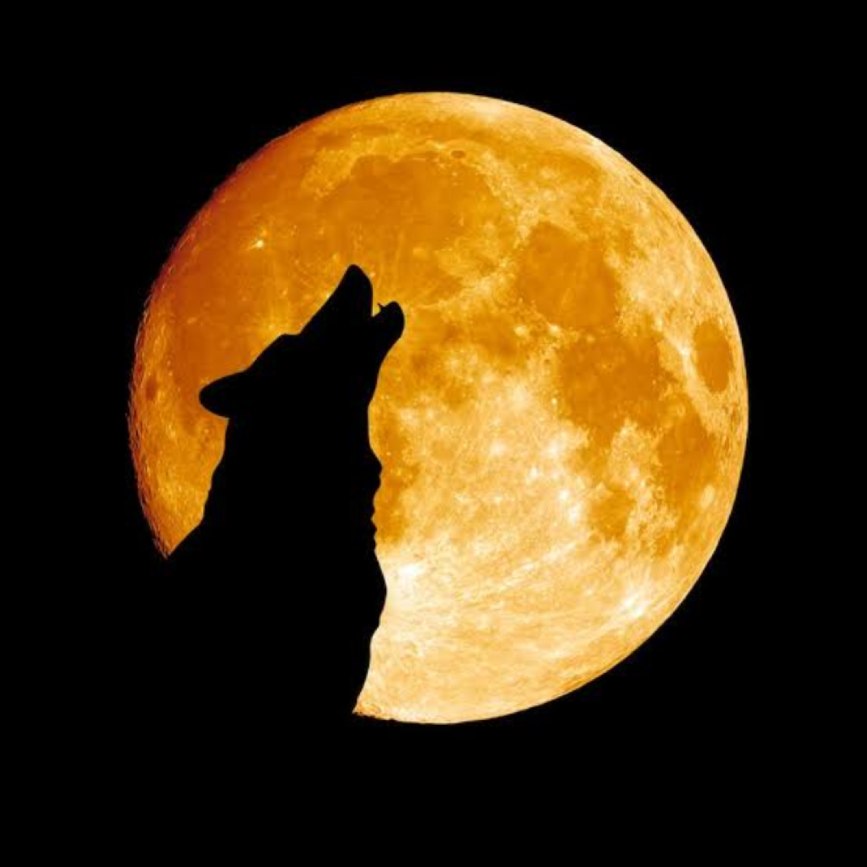 CAPRICORN FULL MOON episode artwork