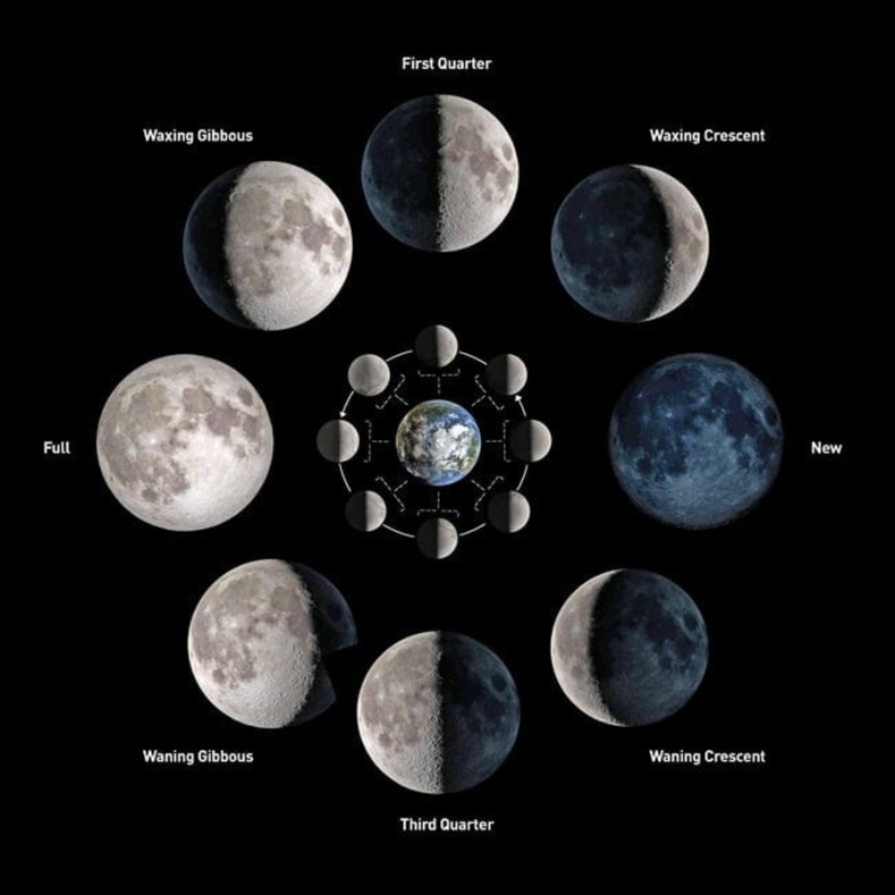 FULL MOON (Leo ♌) episode artwork