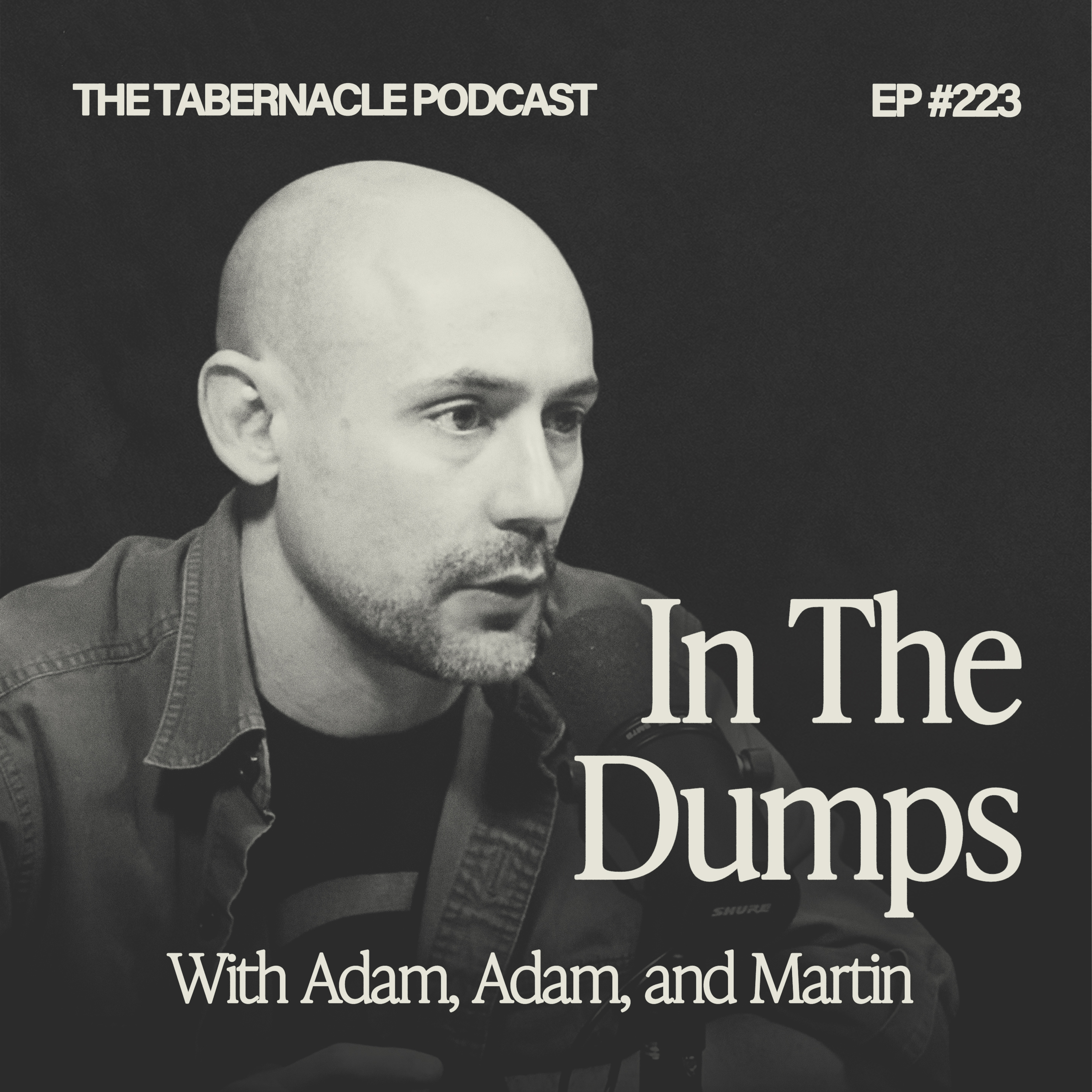 223. In The Dumps | With Adam, Adam, and Martin episode artwork