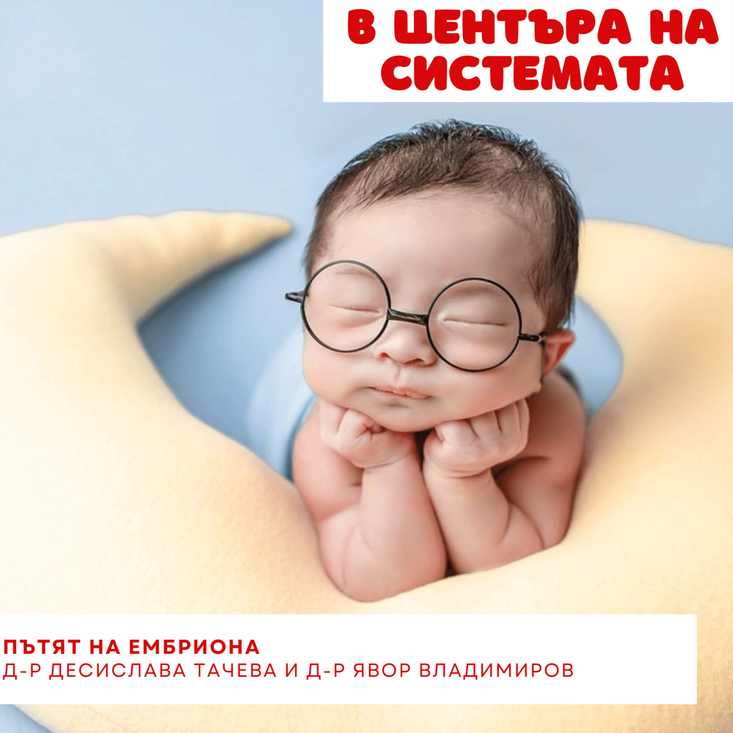В центъра на системата - Пътят на ембриона episode artwork