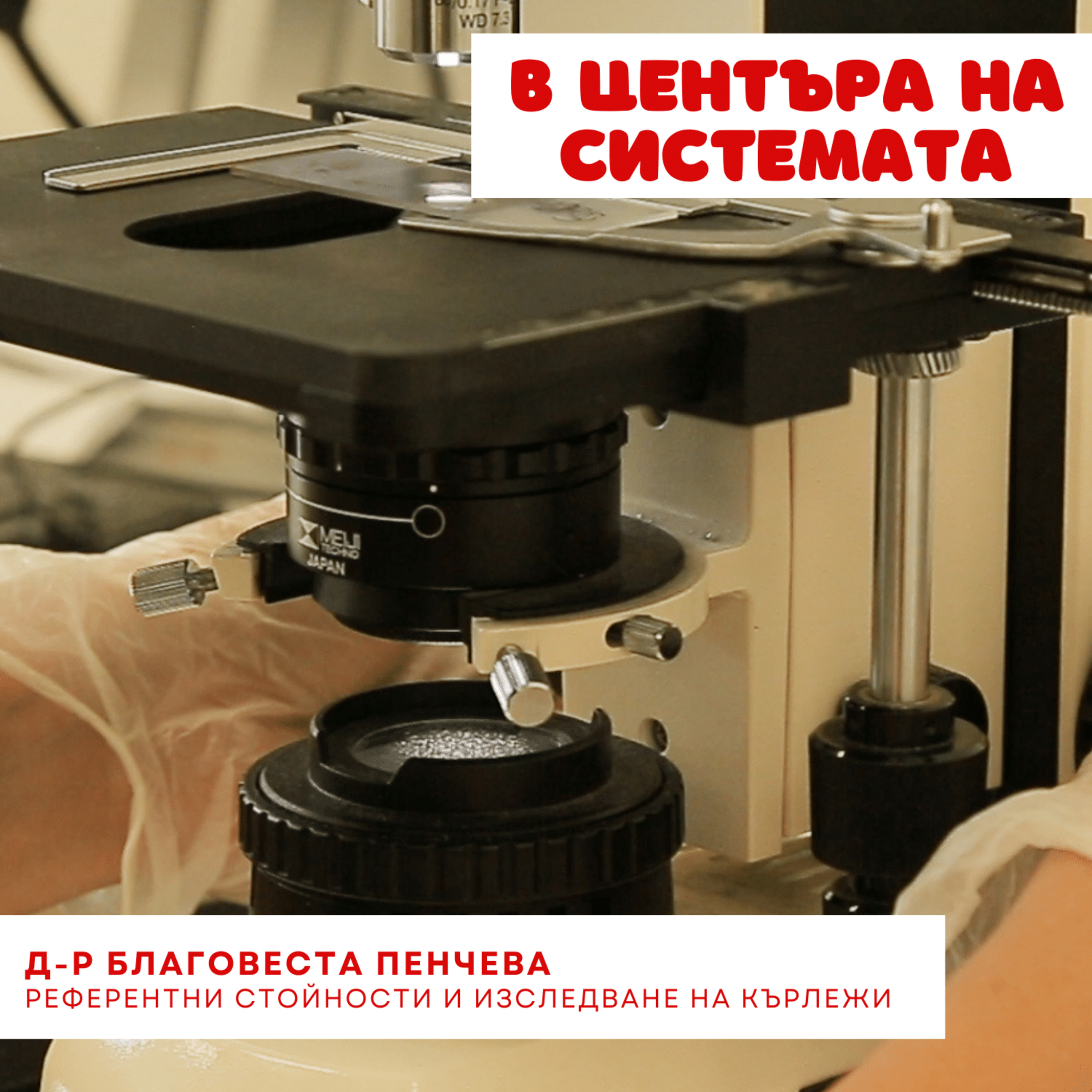 В центъра на системата - Ухапване от кърлеж: важни референтни стойности episode artwork